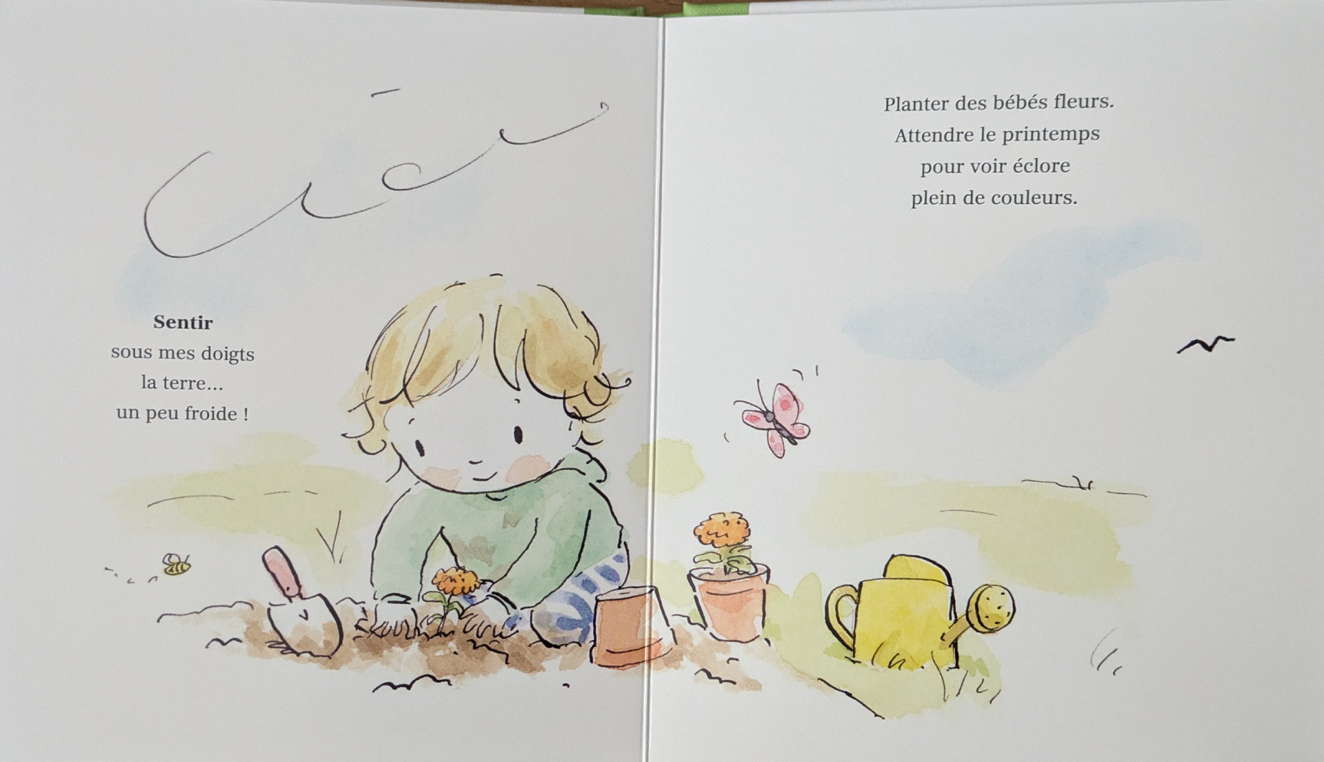 Des illustrations magnifiques
