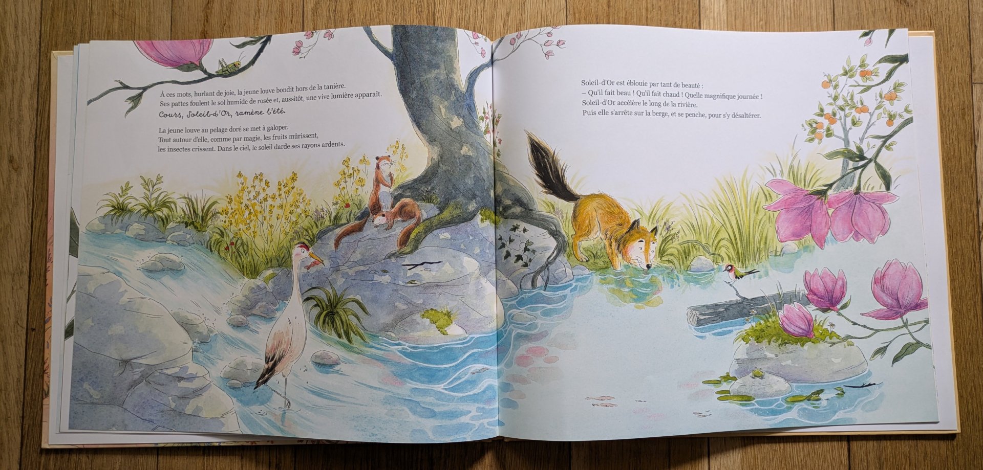 De magnifiques illustrations