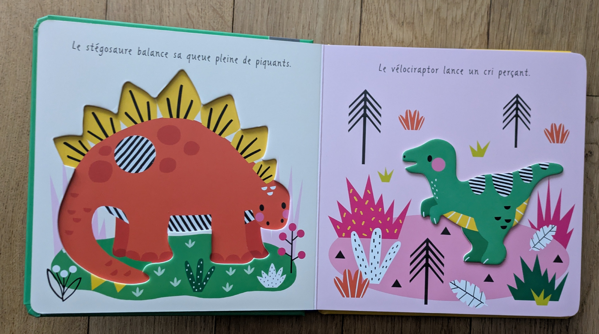 Des illustrations magnifiques