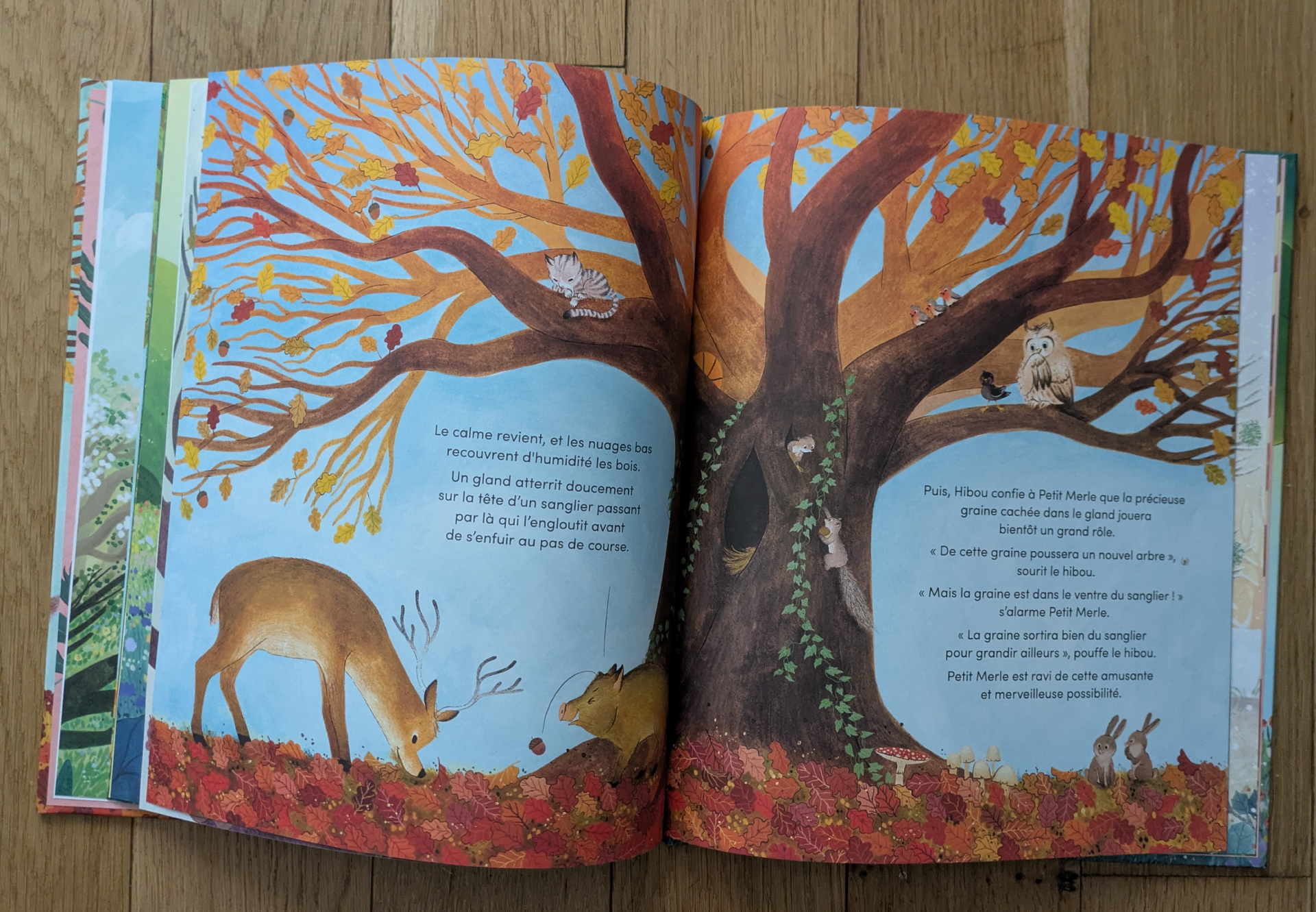 Des illustrations magnifiques