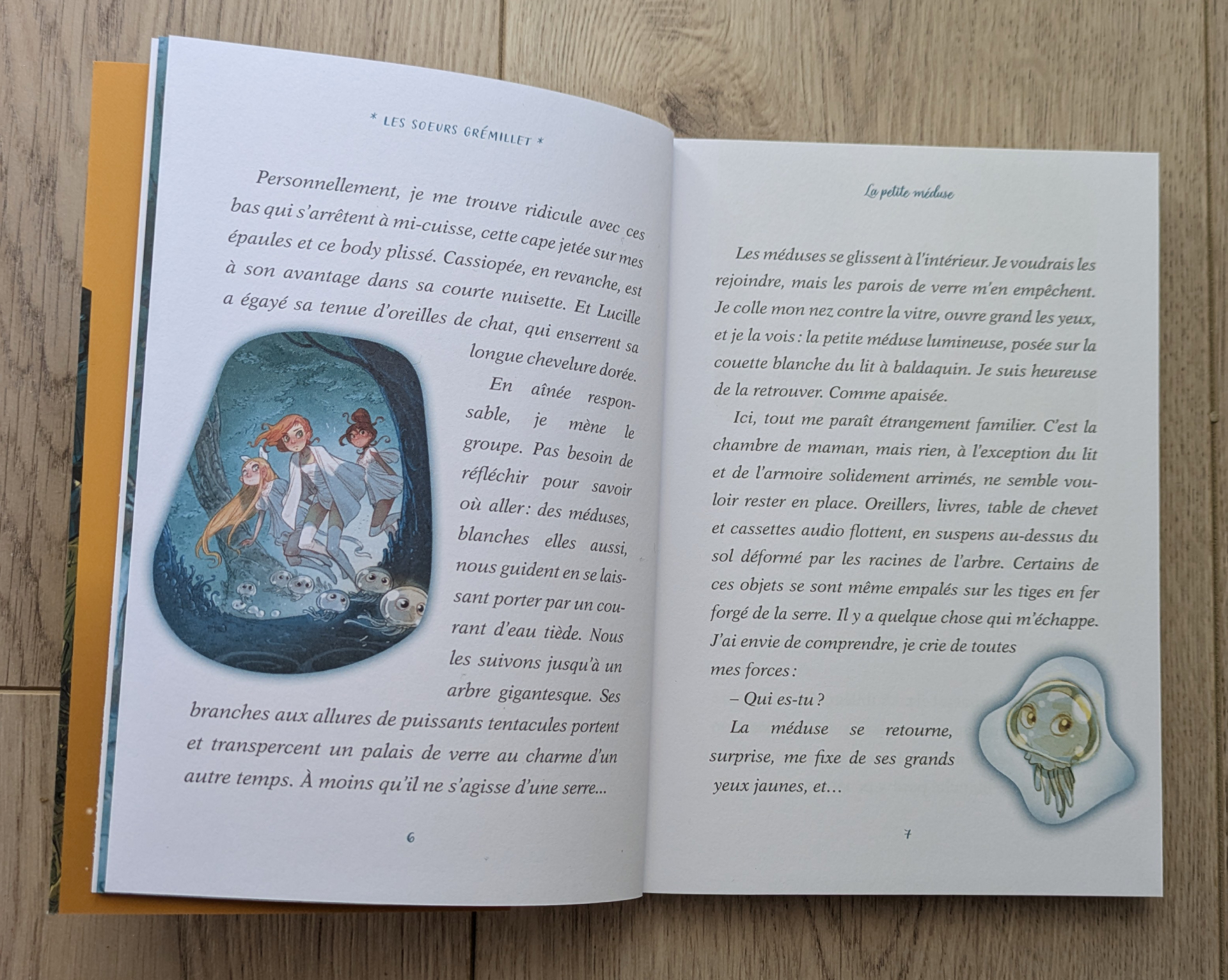 Des illustrations magnifiques
