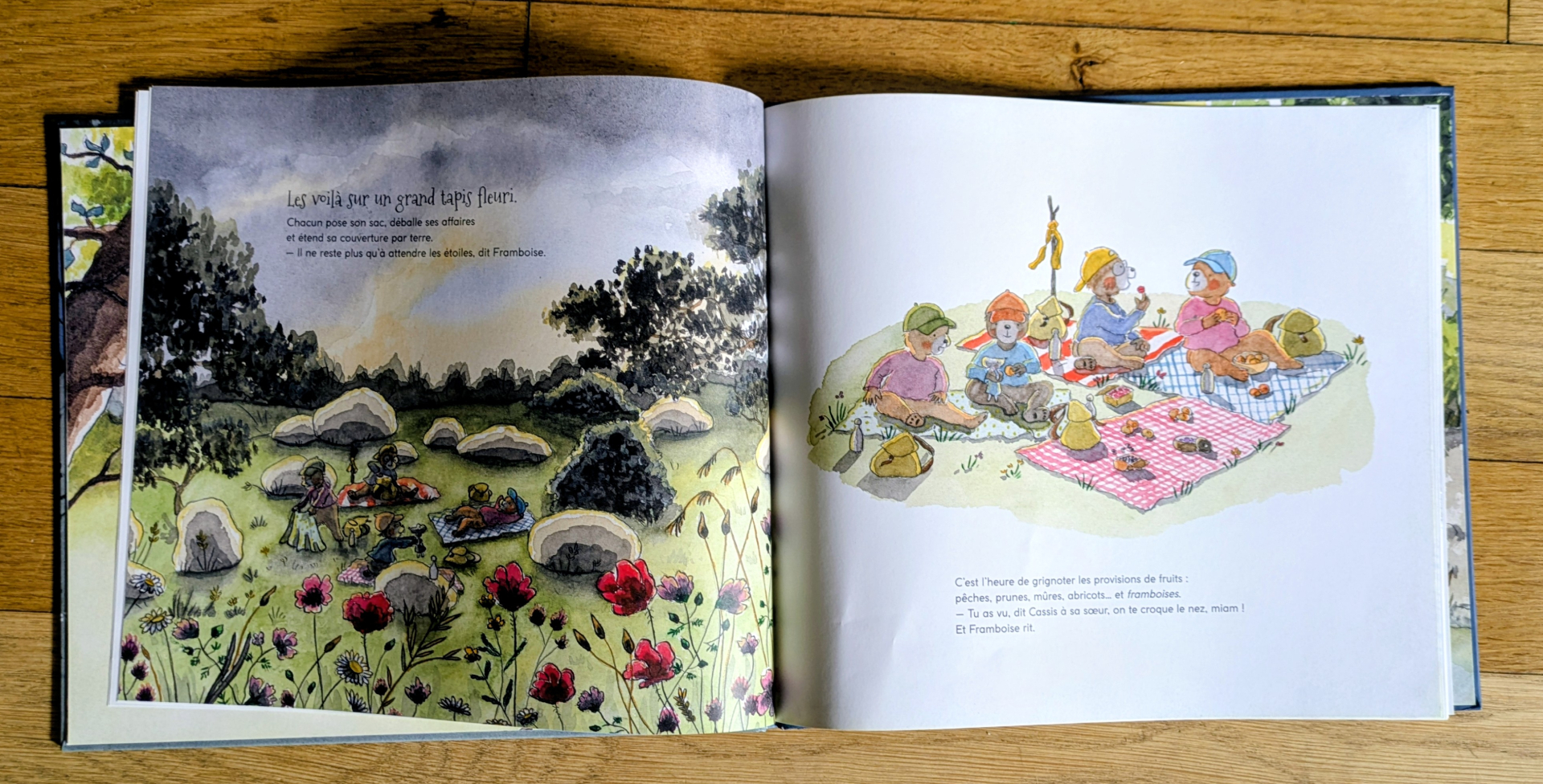 Des illustrations magnifiques