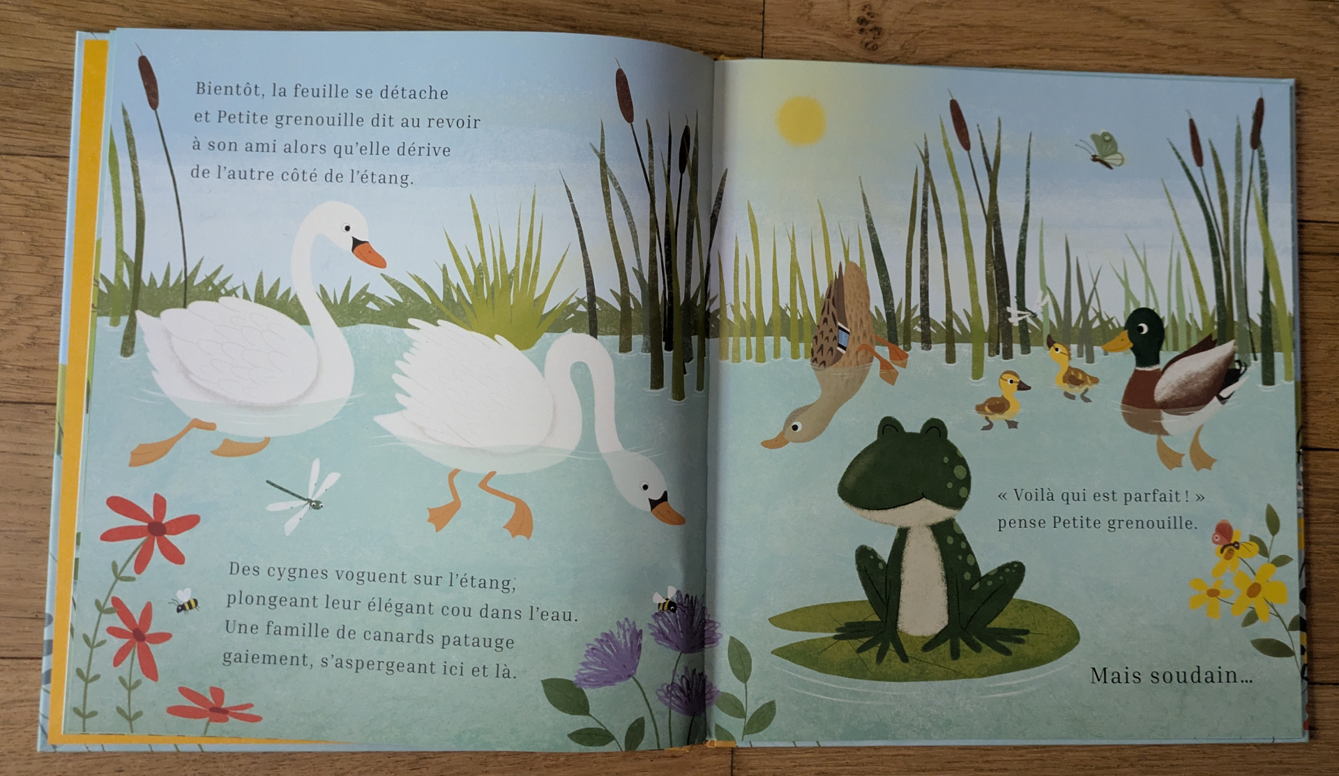 Des illustrations magnifiques