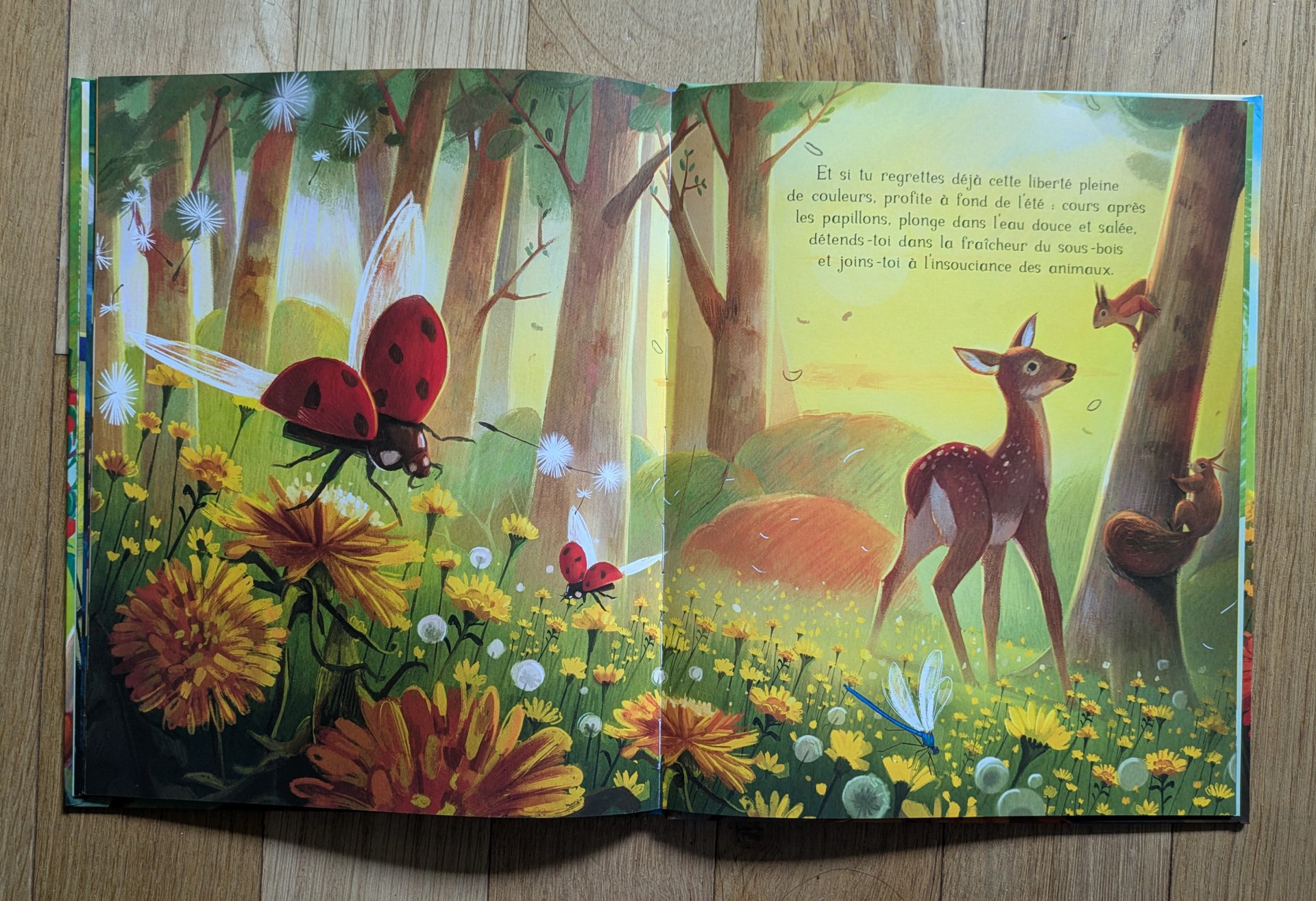 De magnifiques illustrations très colorées