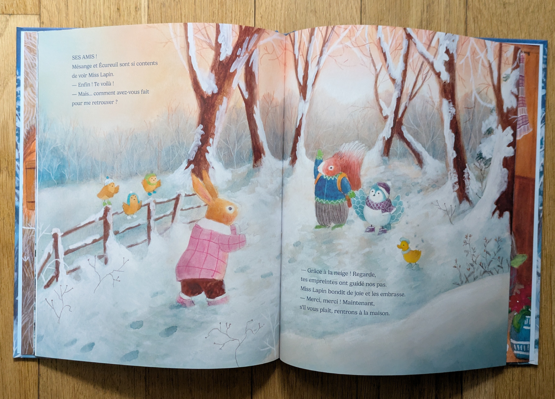 Des illustrations magnifiques