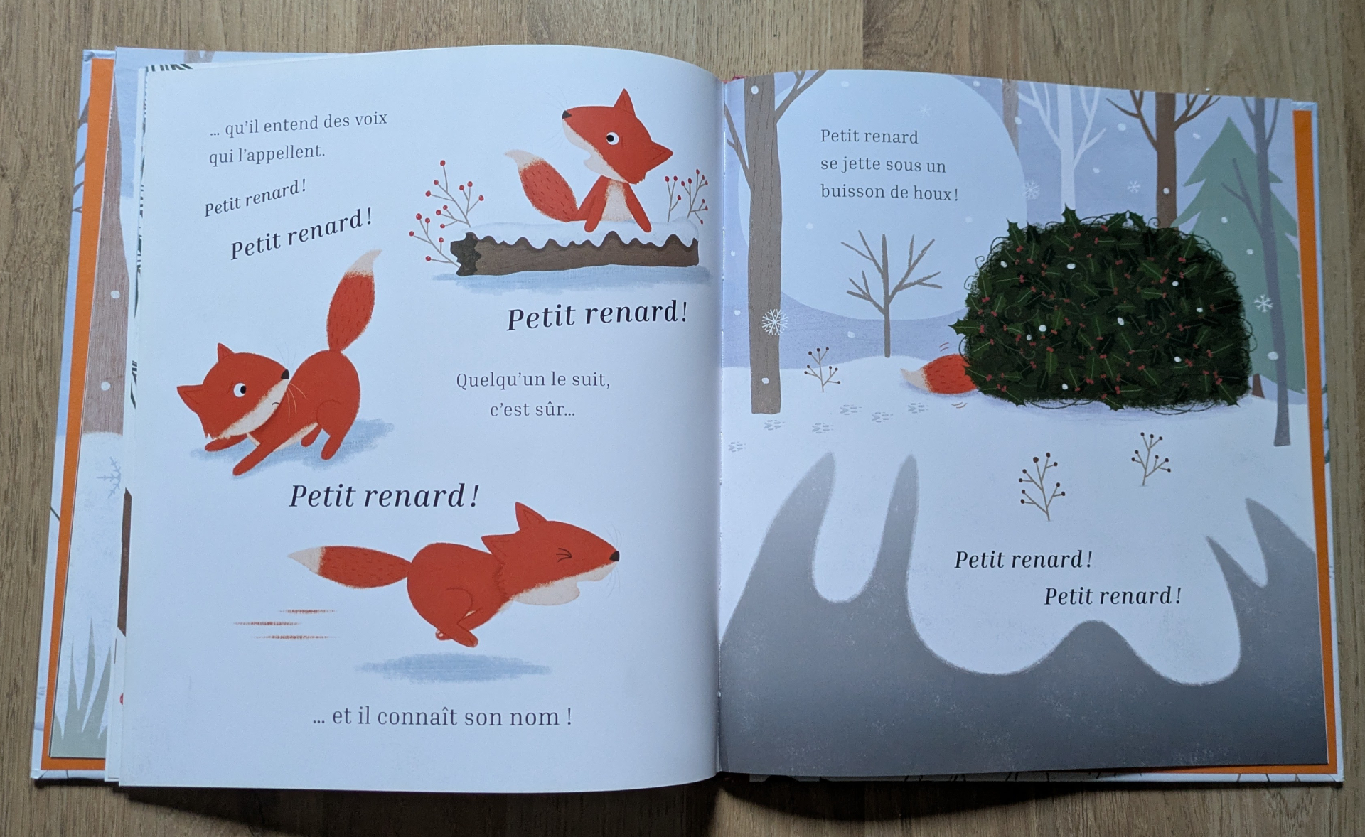 Des illustrations magnifiques