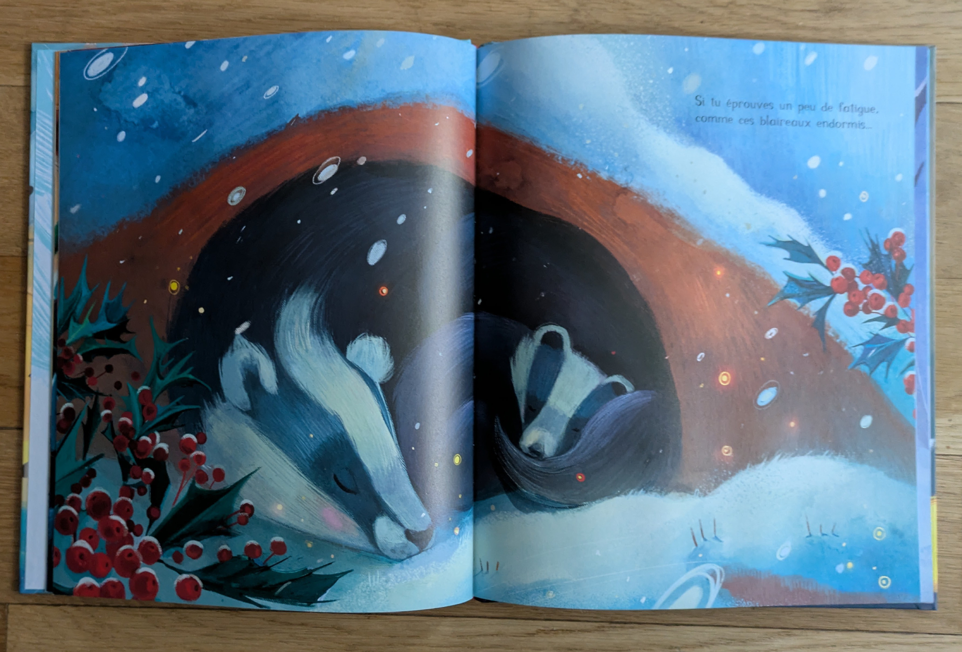 Des illustrations magnifiques