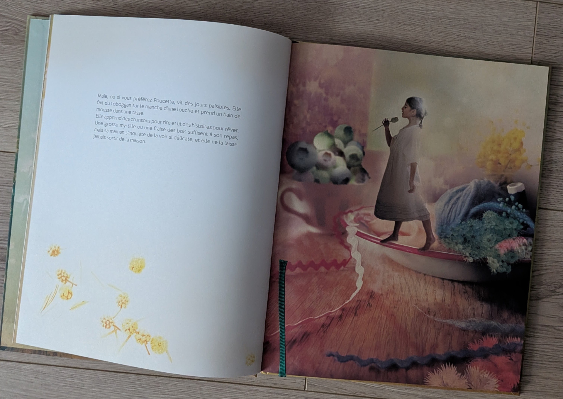 Des illustrations magnifiques