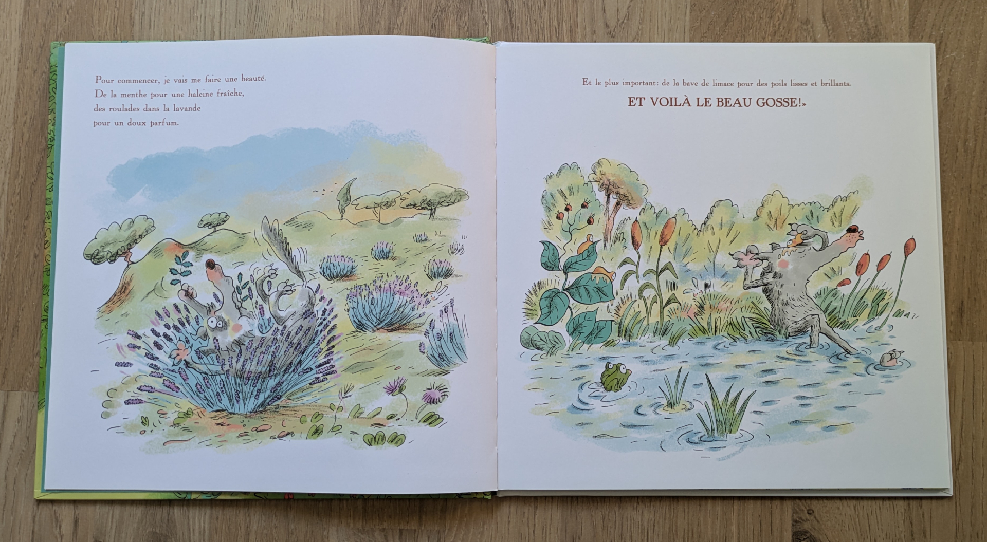 Des illustrations magnifiques