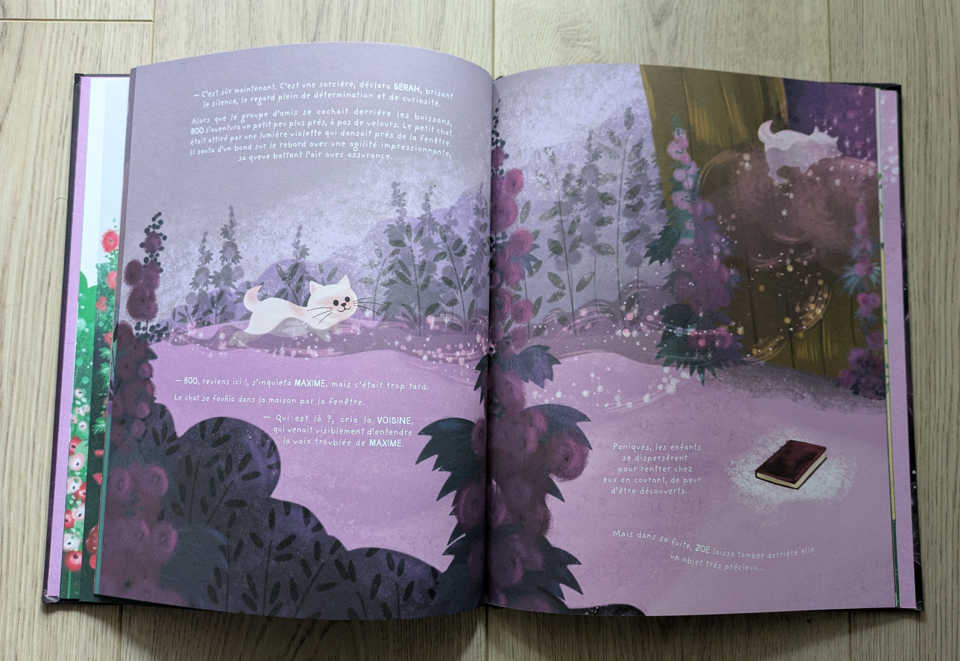 Des illustrations magnifiques