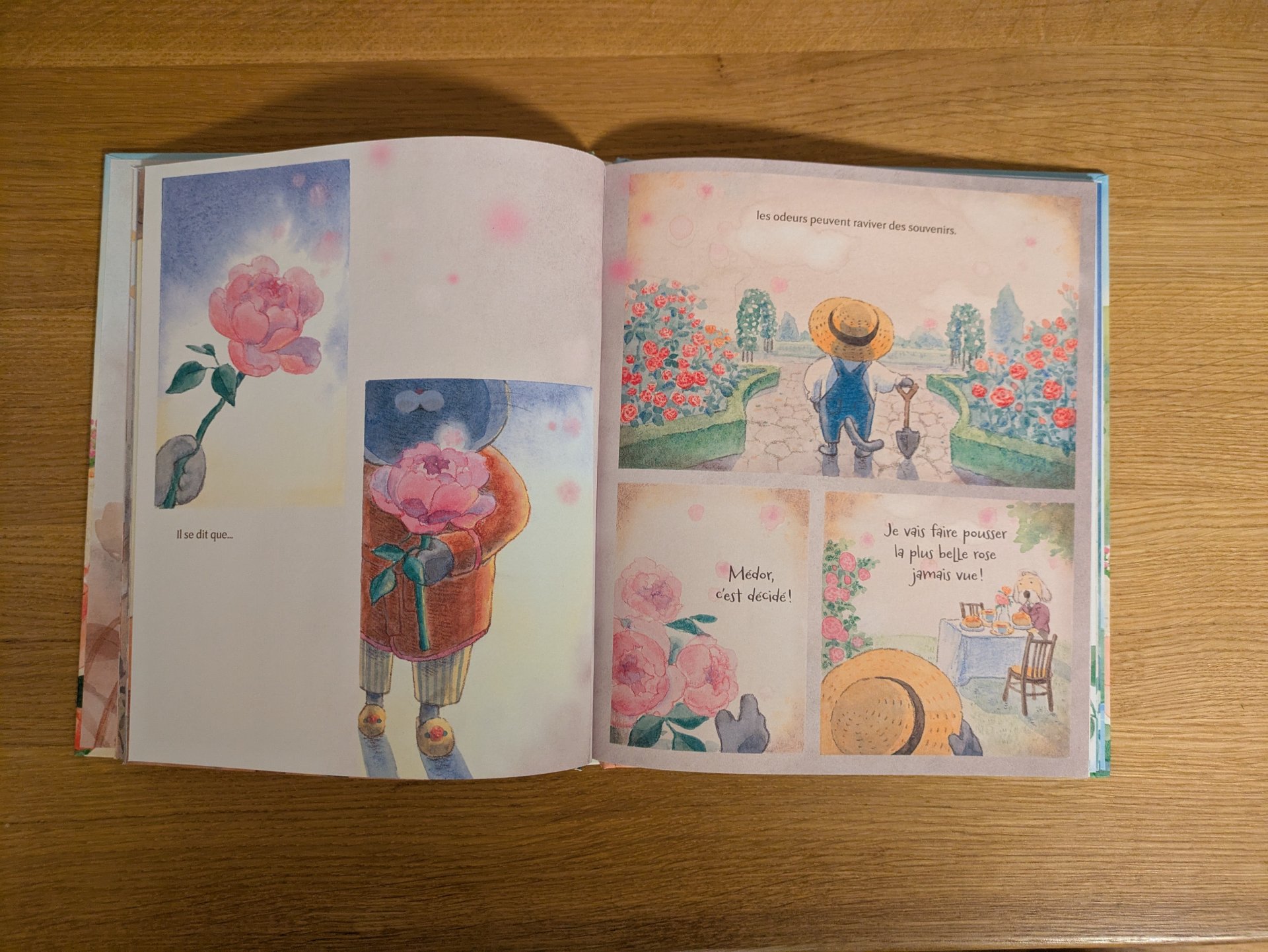 De magnifiques illustrations