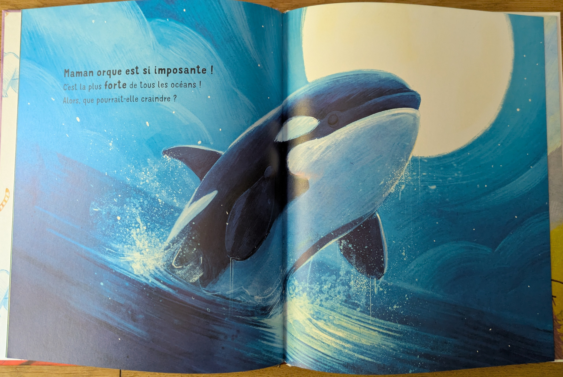 Des illustrations magnifiques 