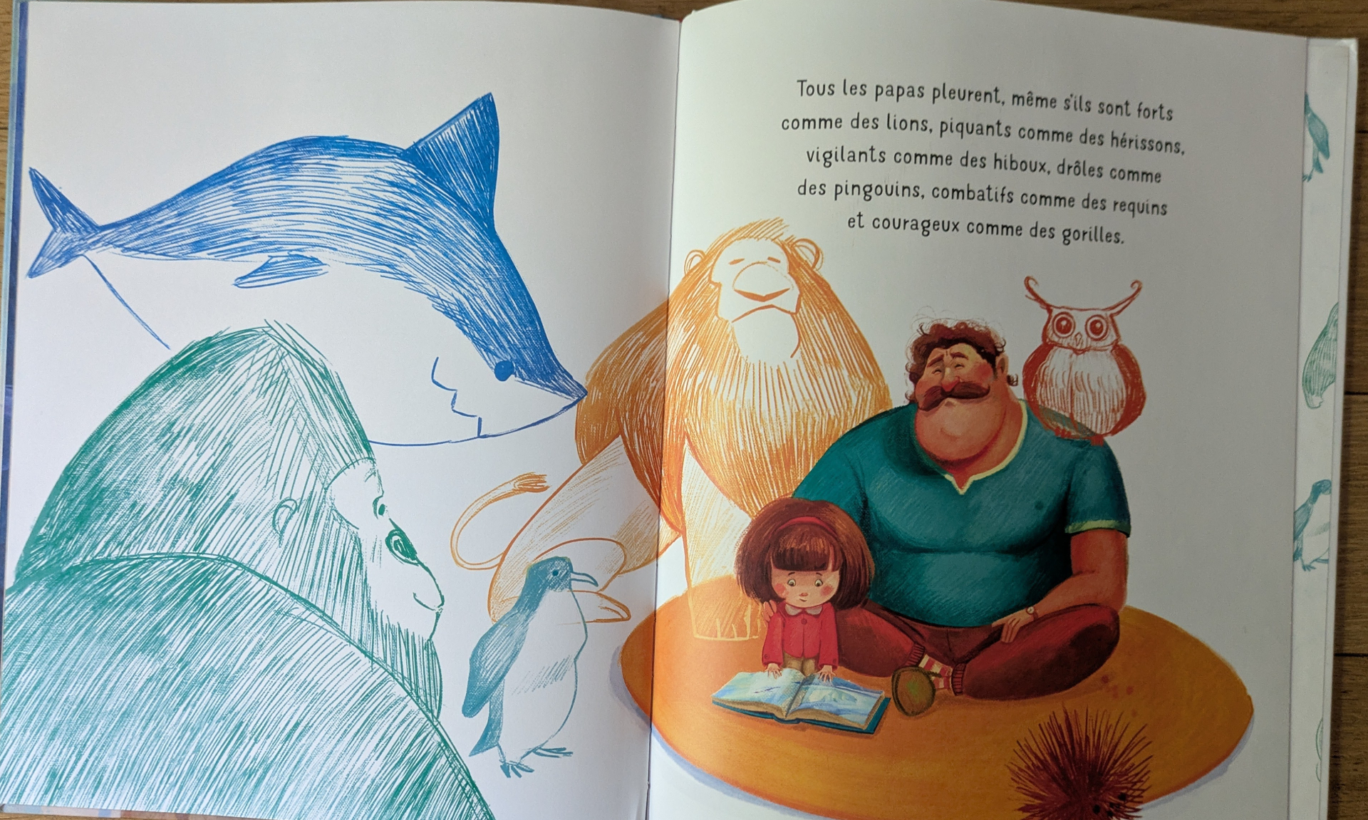 Des illustrations magnifiques