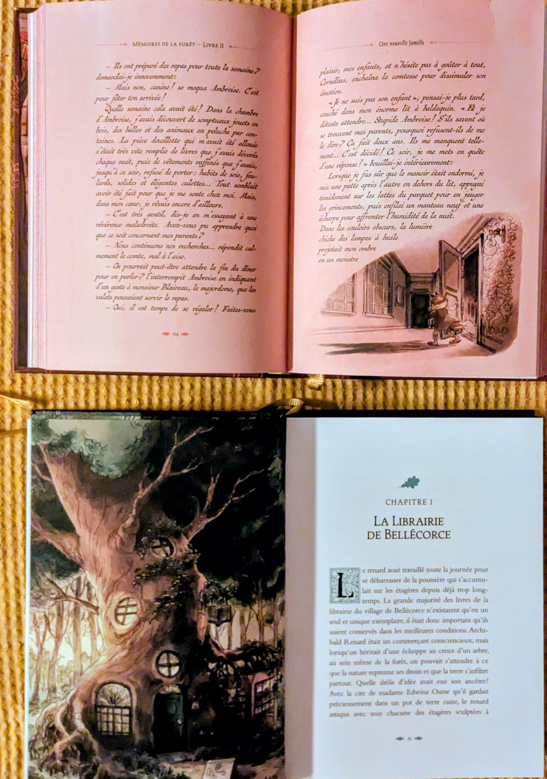 Des illustrations magnifiques
