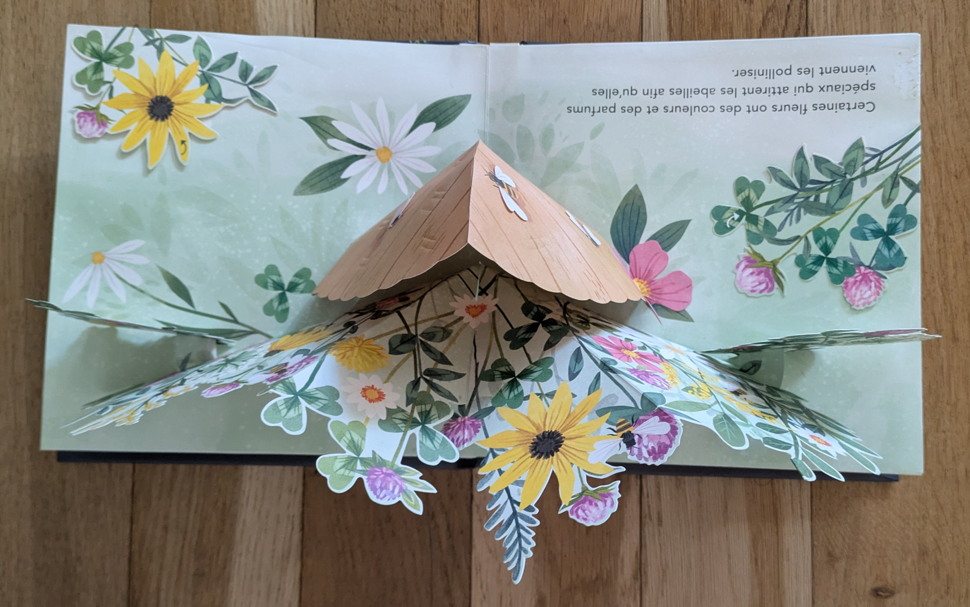 Des illustrations magnifiques