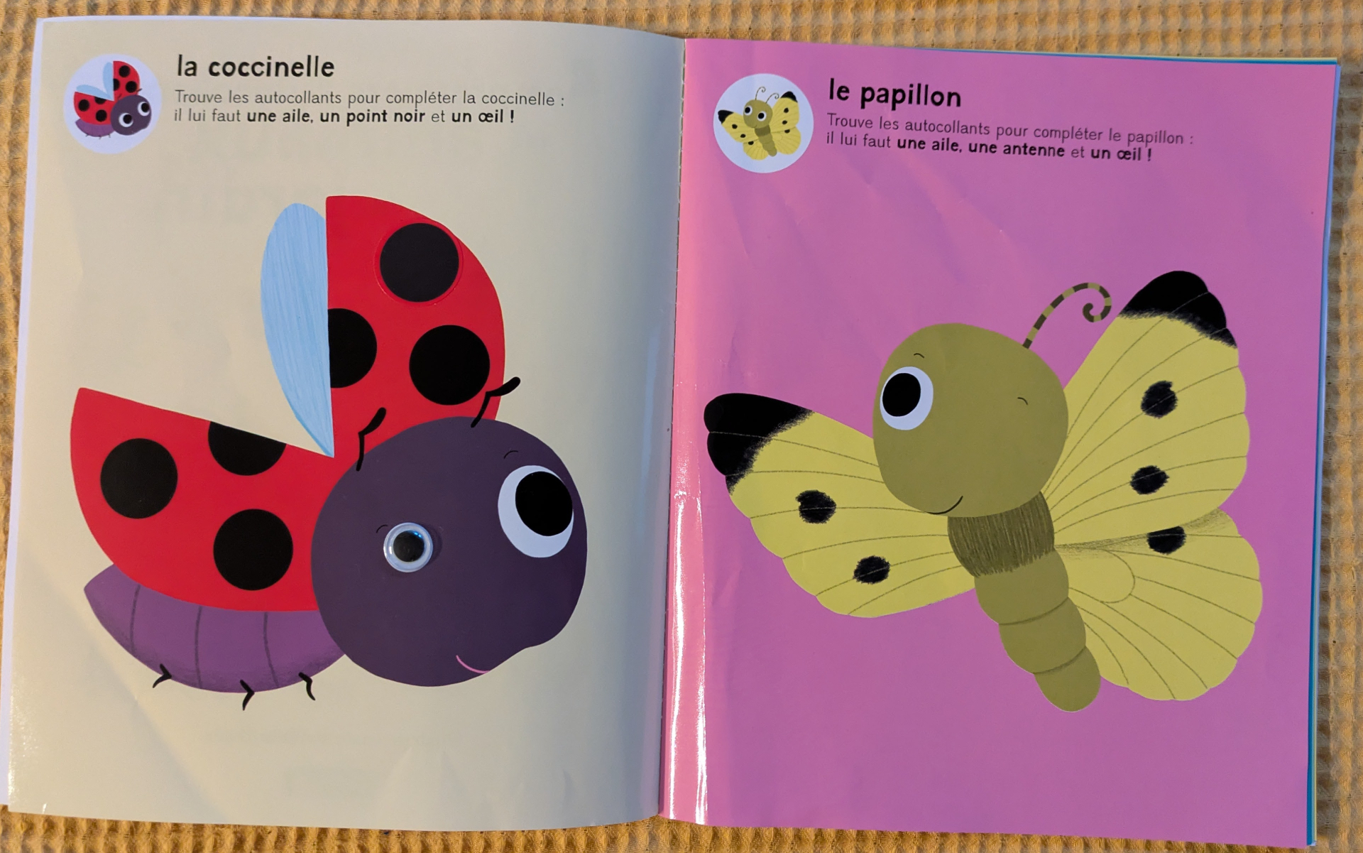 De très belles illustrations les animaux du jardin