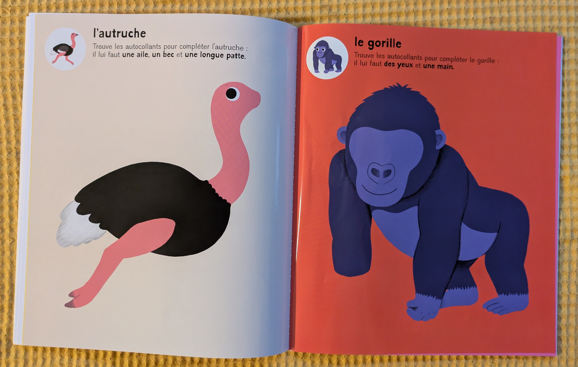 De très belles illustrations les animaux sauvages
