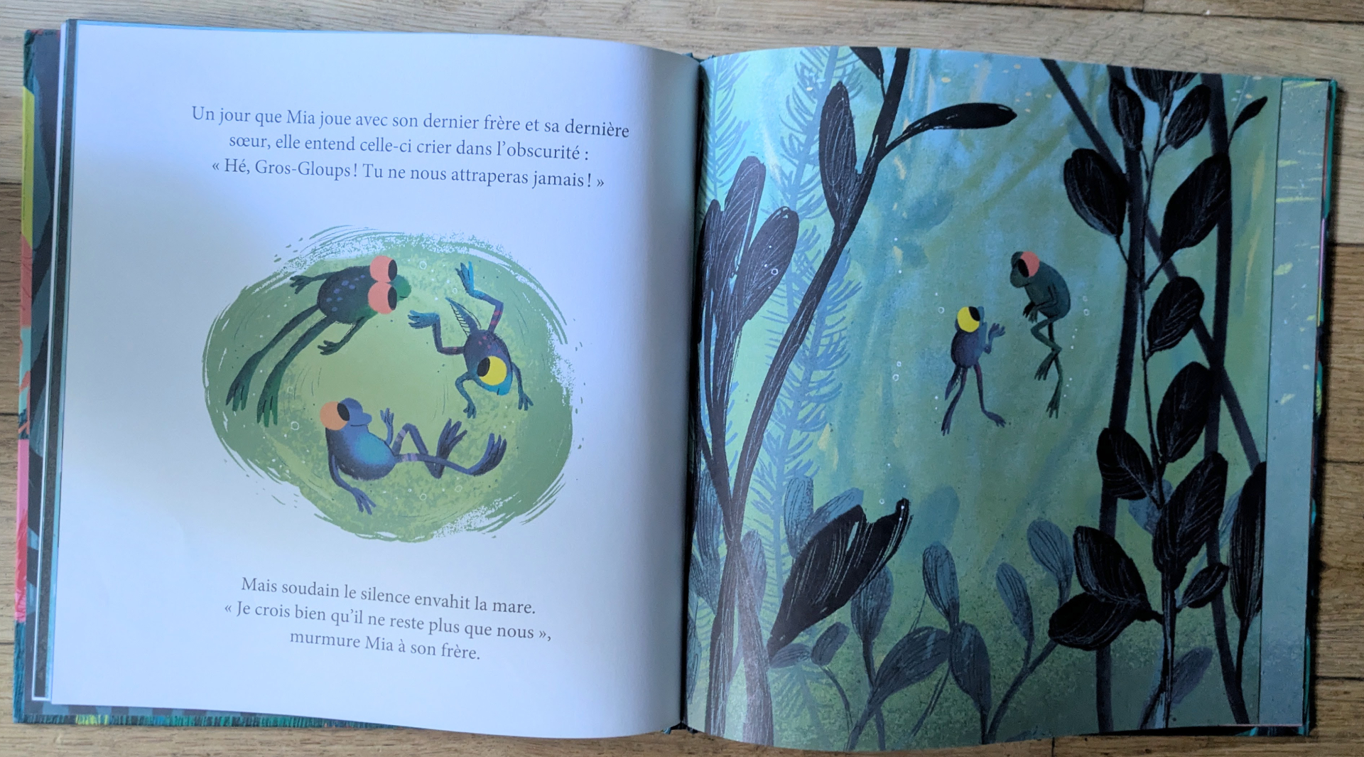 Des illustrations magnifiques