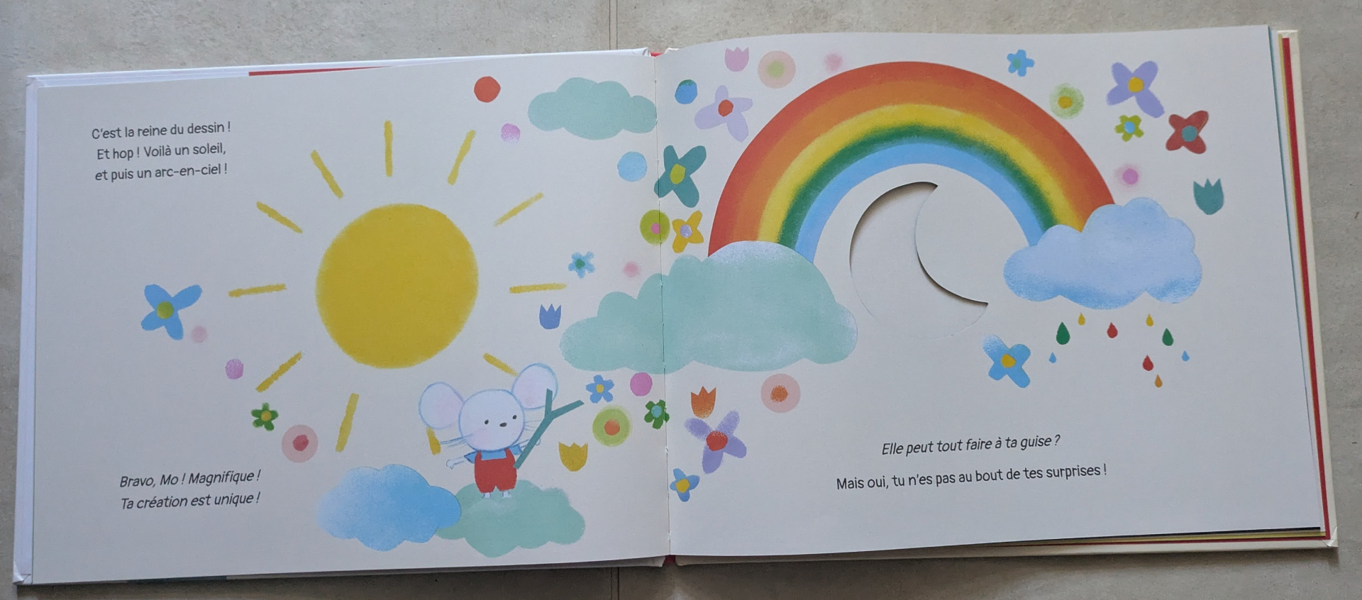 Des illustrations magnifiques