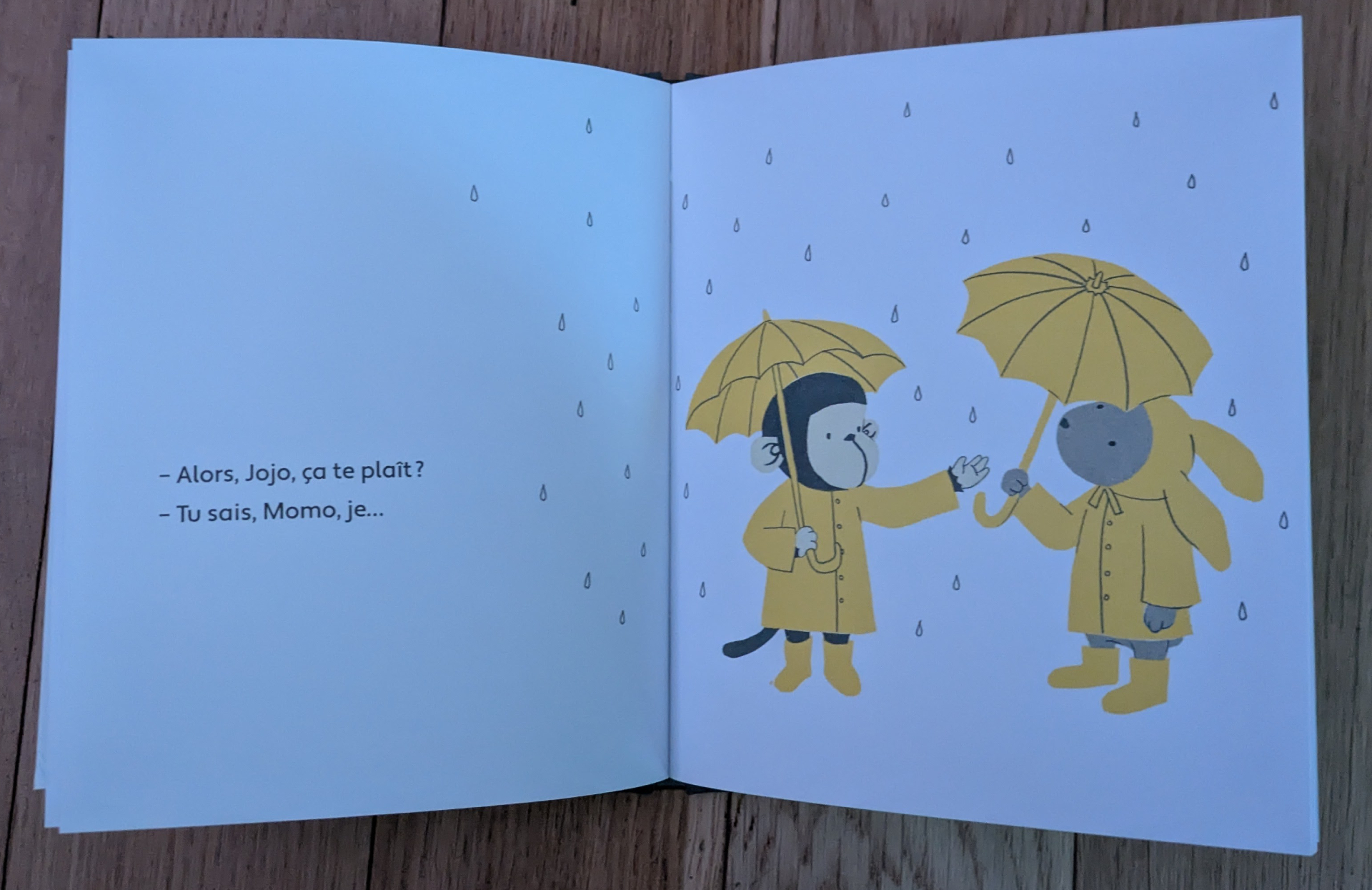 Des illustrations magnifiques