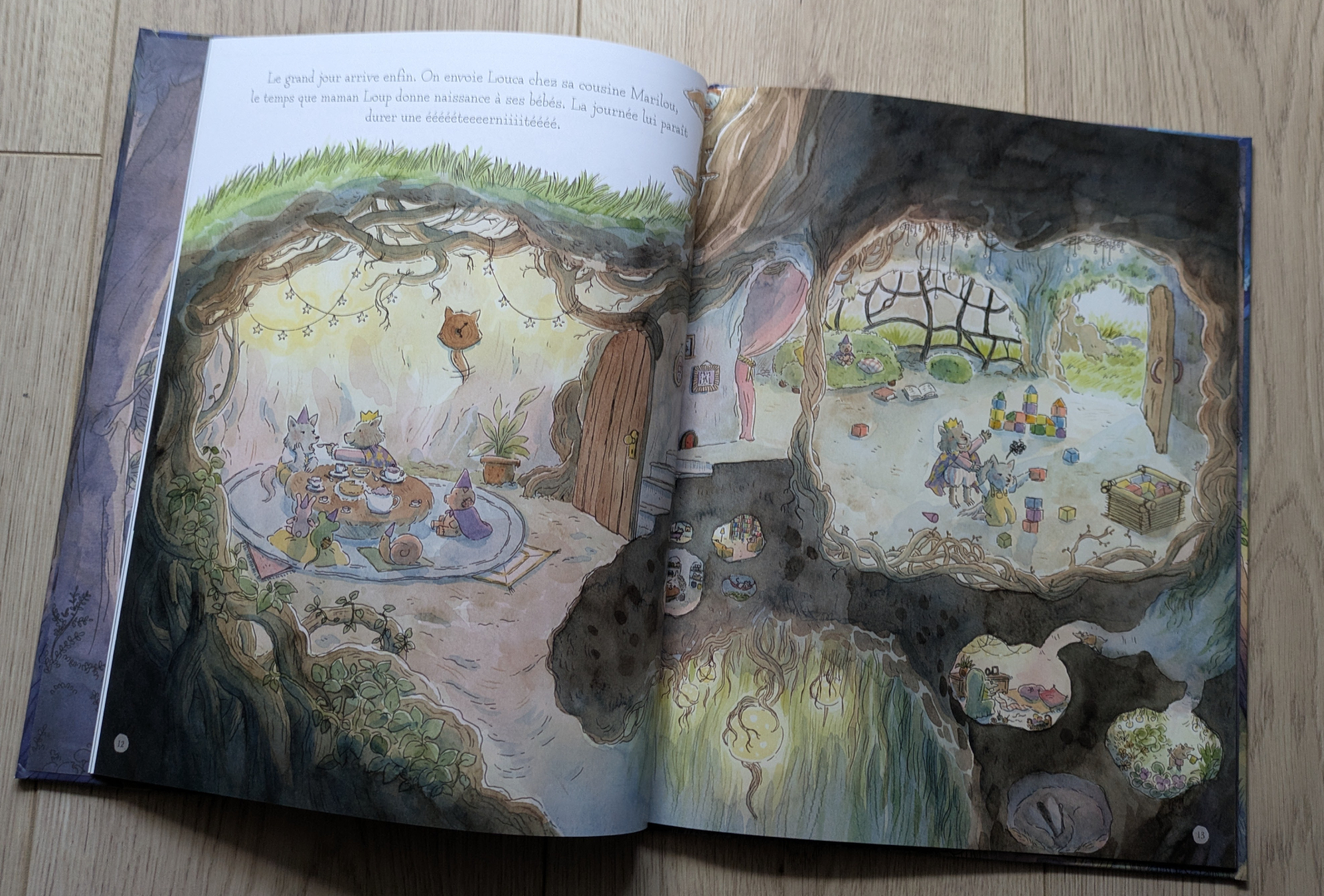 Des illustrations magnifiques