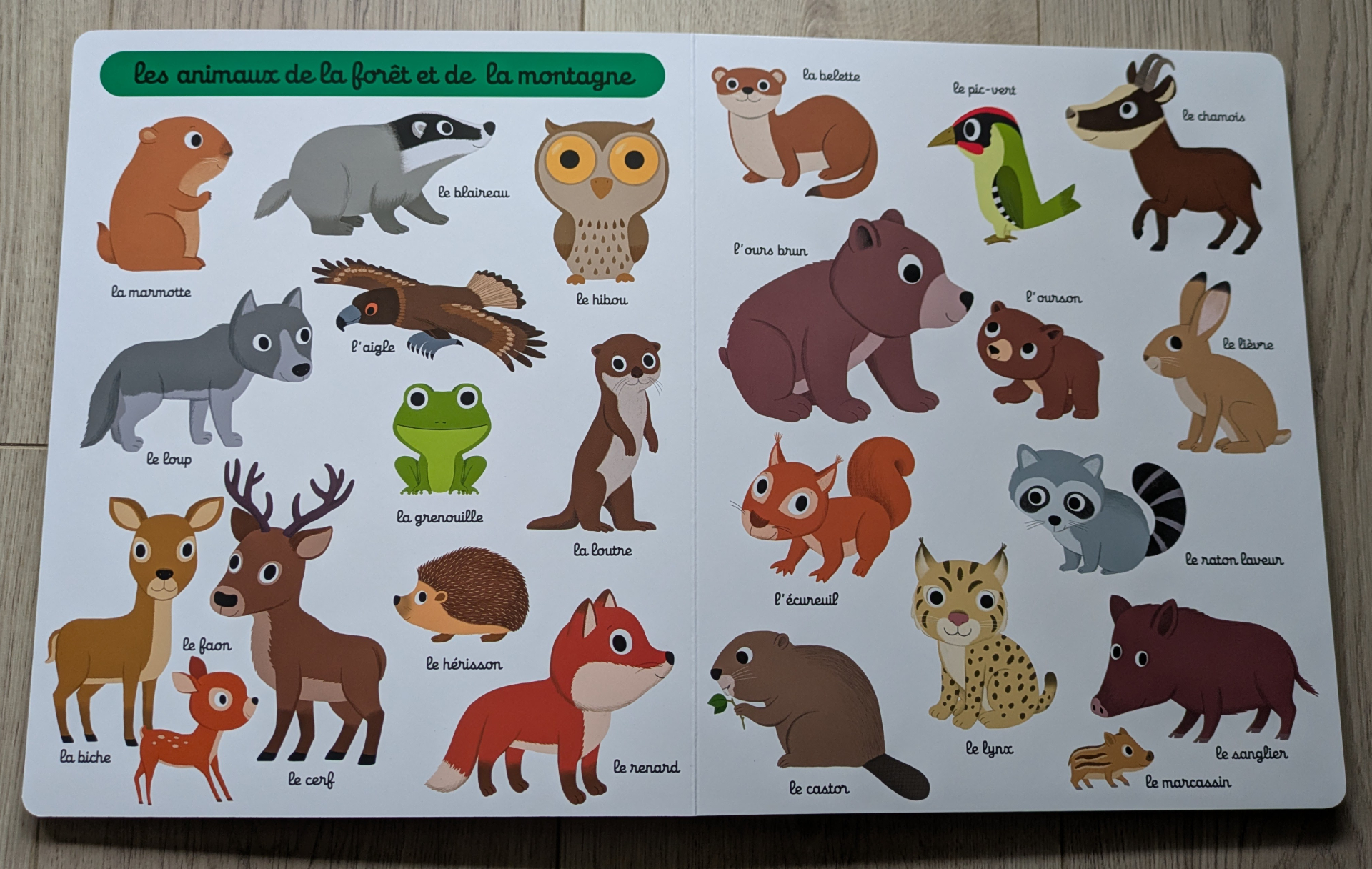 De belles illustrations