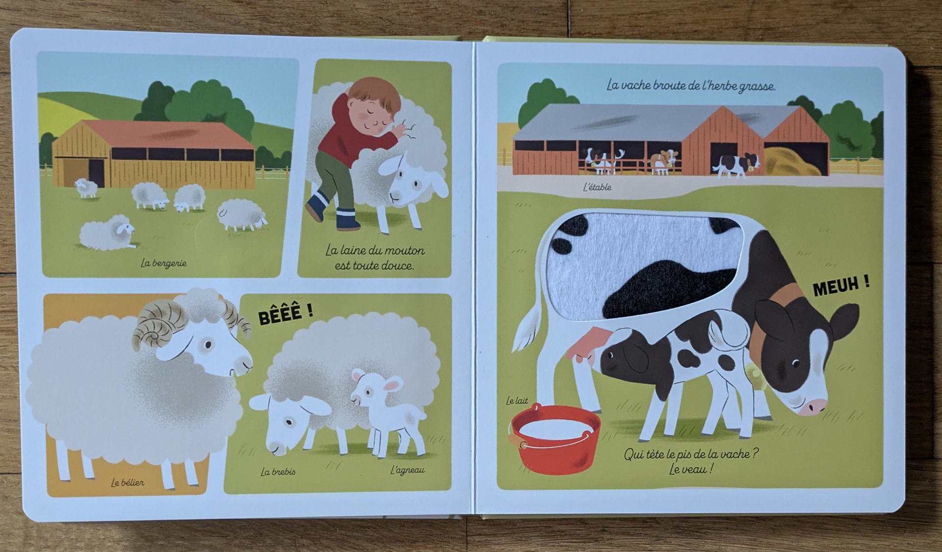 Des illustrations magnifiques