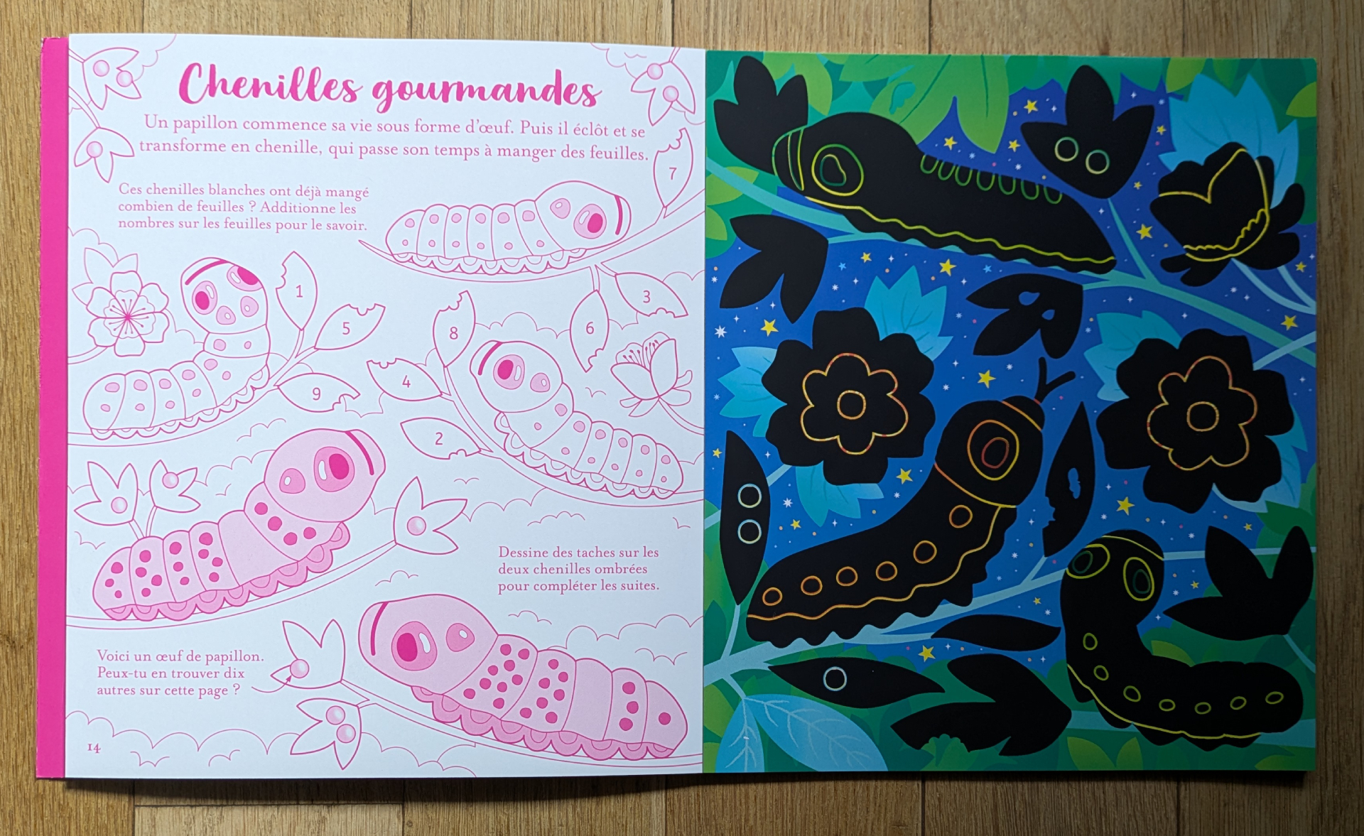 Des illustrations magnifiques