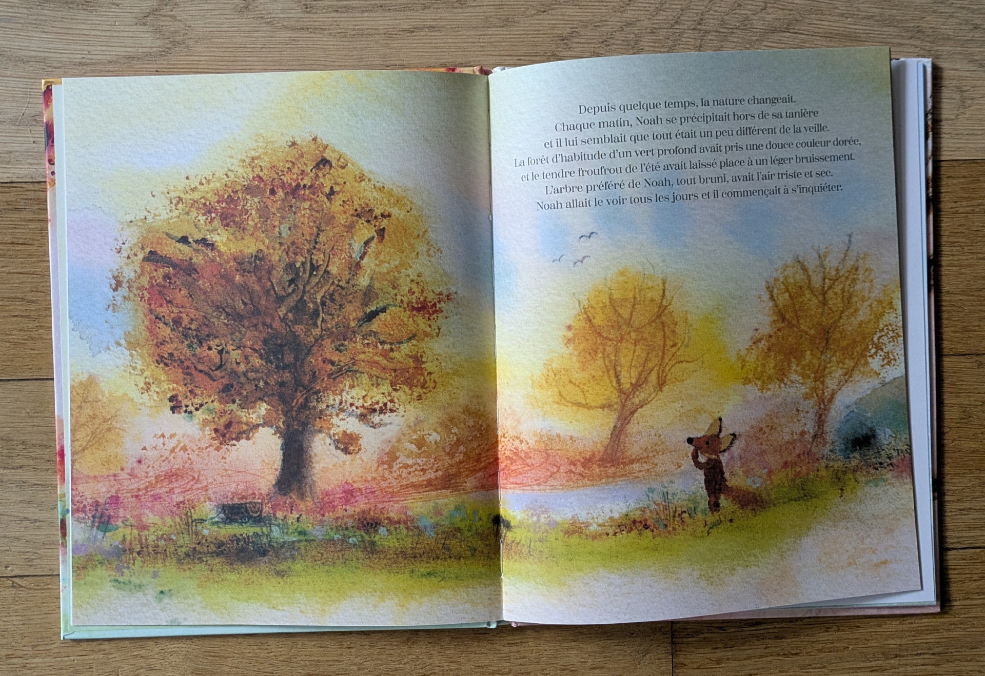Des illustrations magnifiques