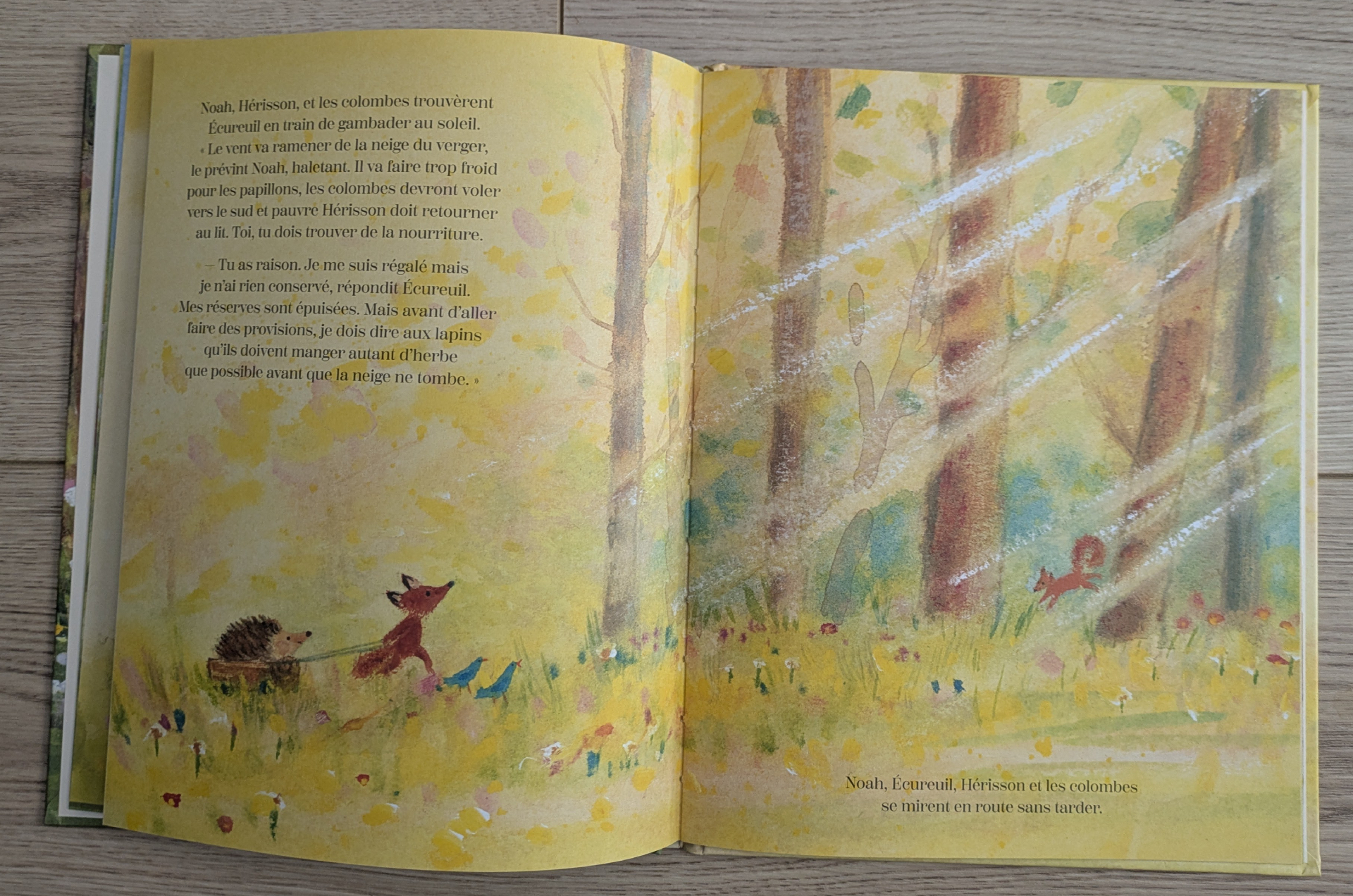 Des illustrations magnifiques