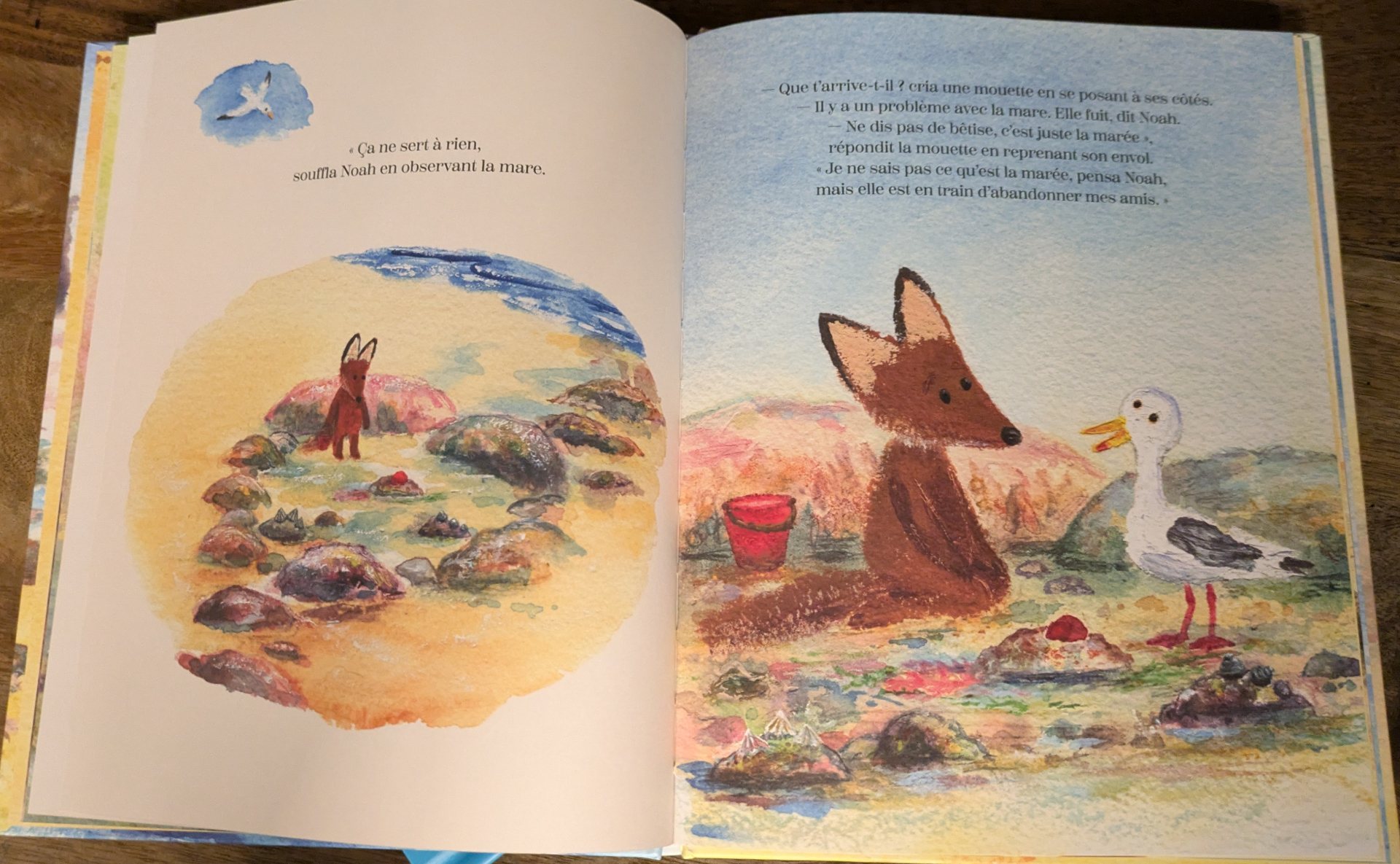 Des illustrations magnifiques