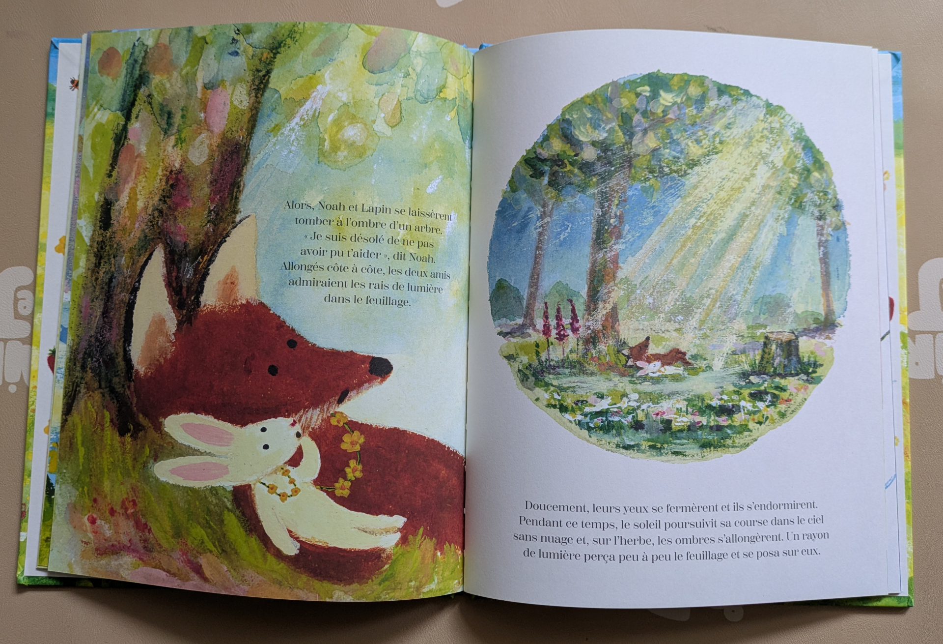 Des illustrations magnifiques