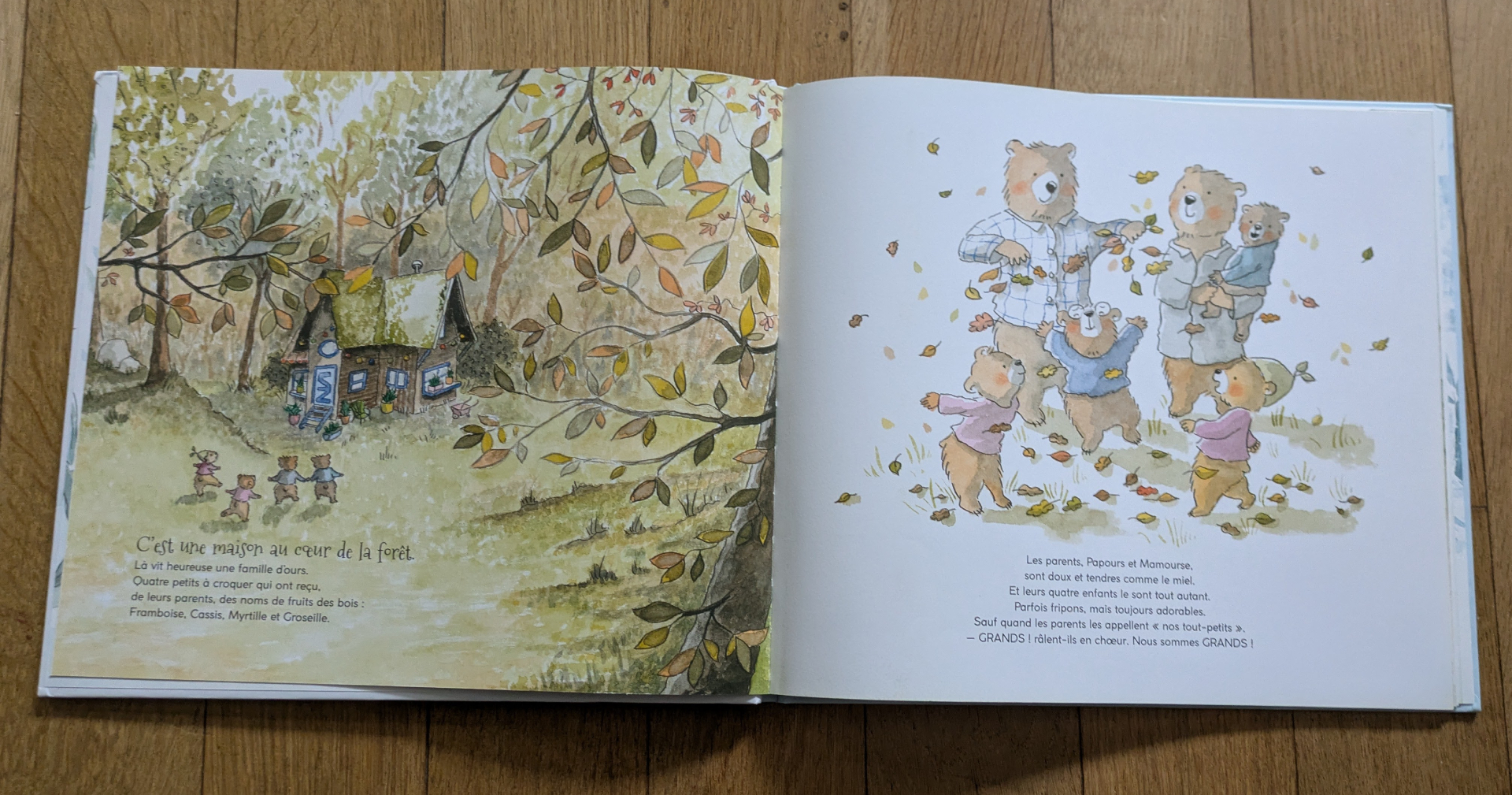 Des illustrations magnifiques