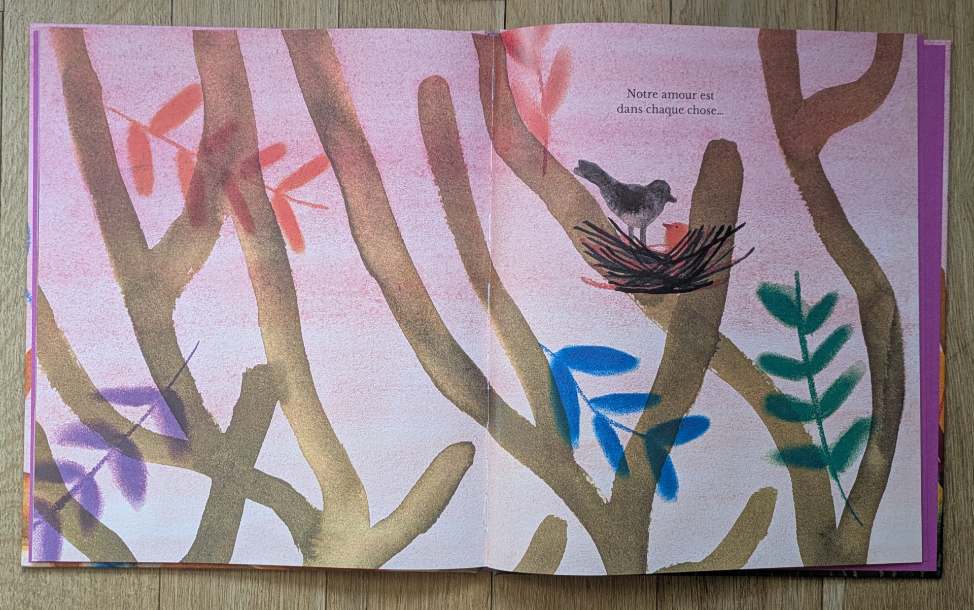 Des illustrations magnifiques