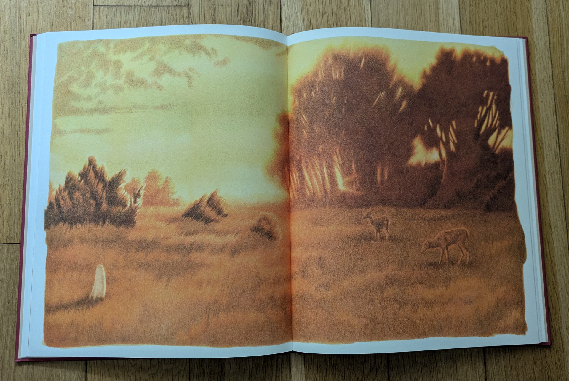 Des illustrations sublimes