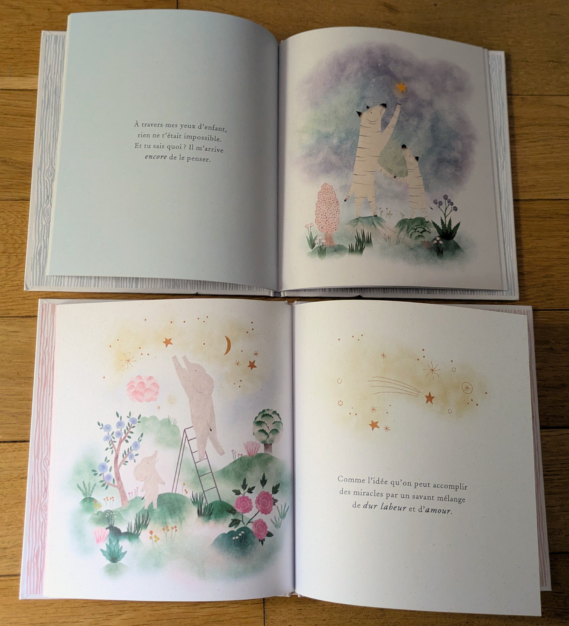 Des illustrations magnifiques