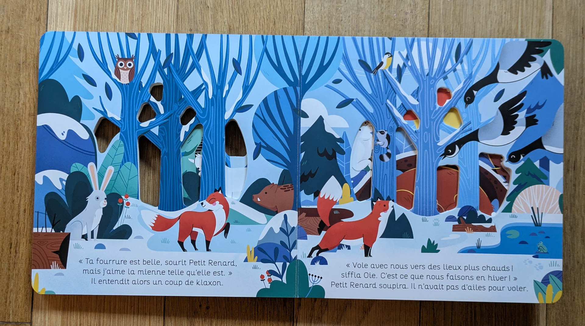 Des illustrations magnifiques