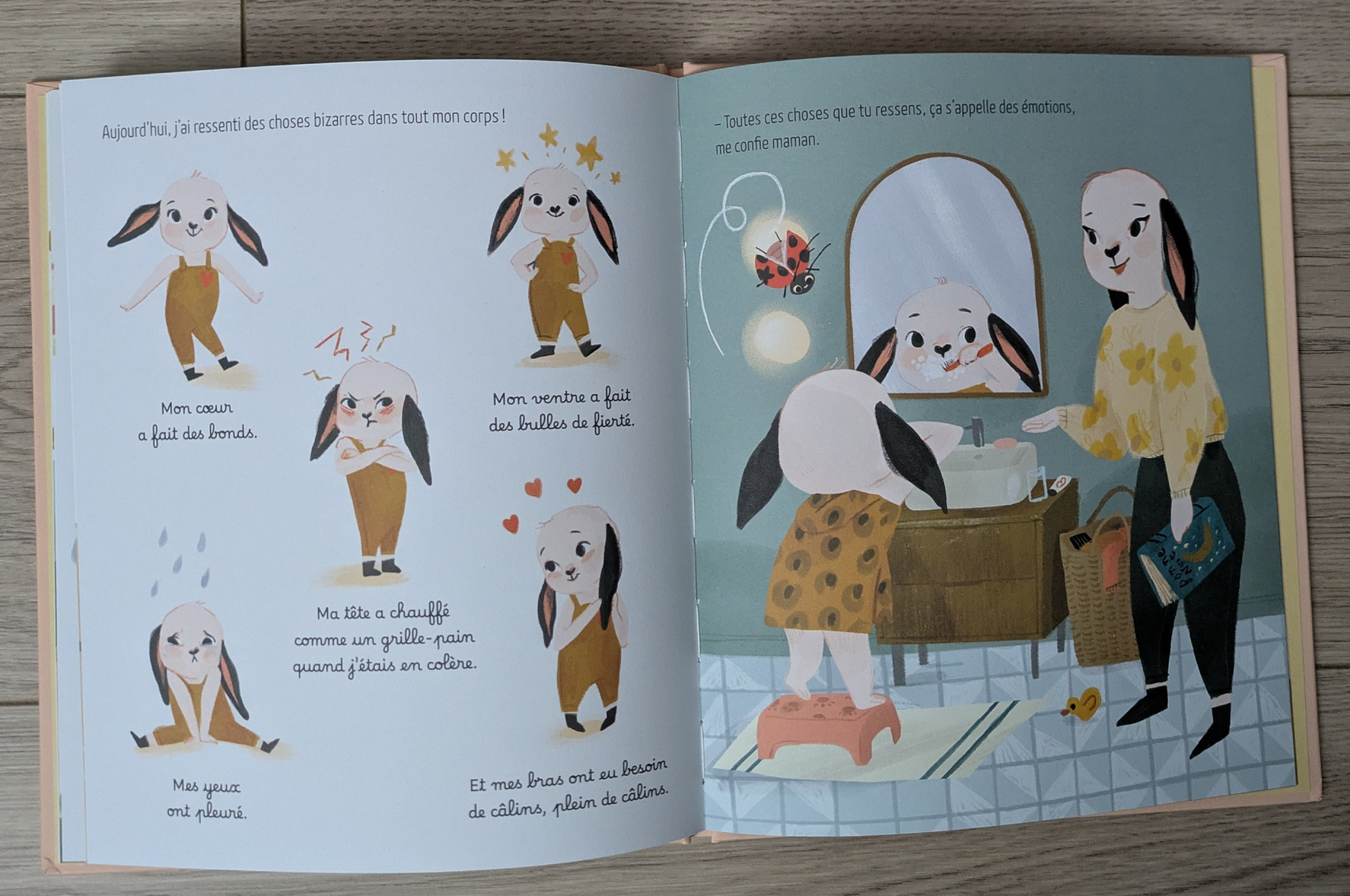De très belles illustrations