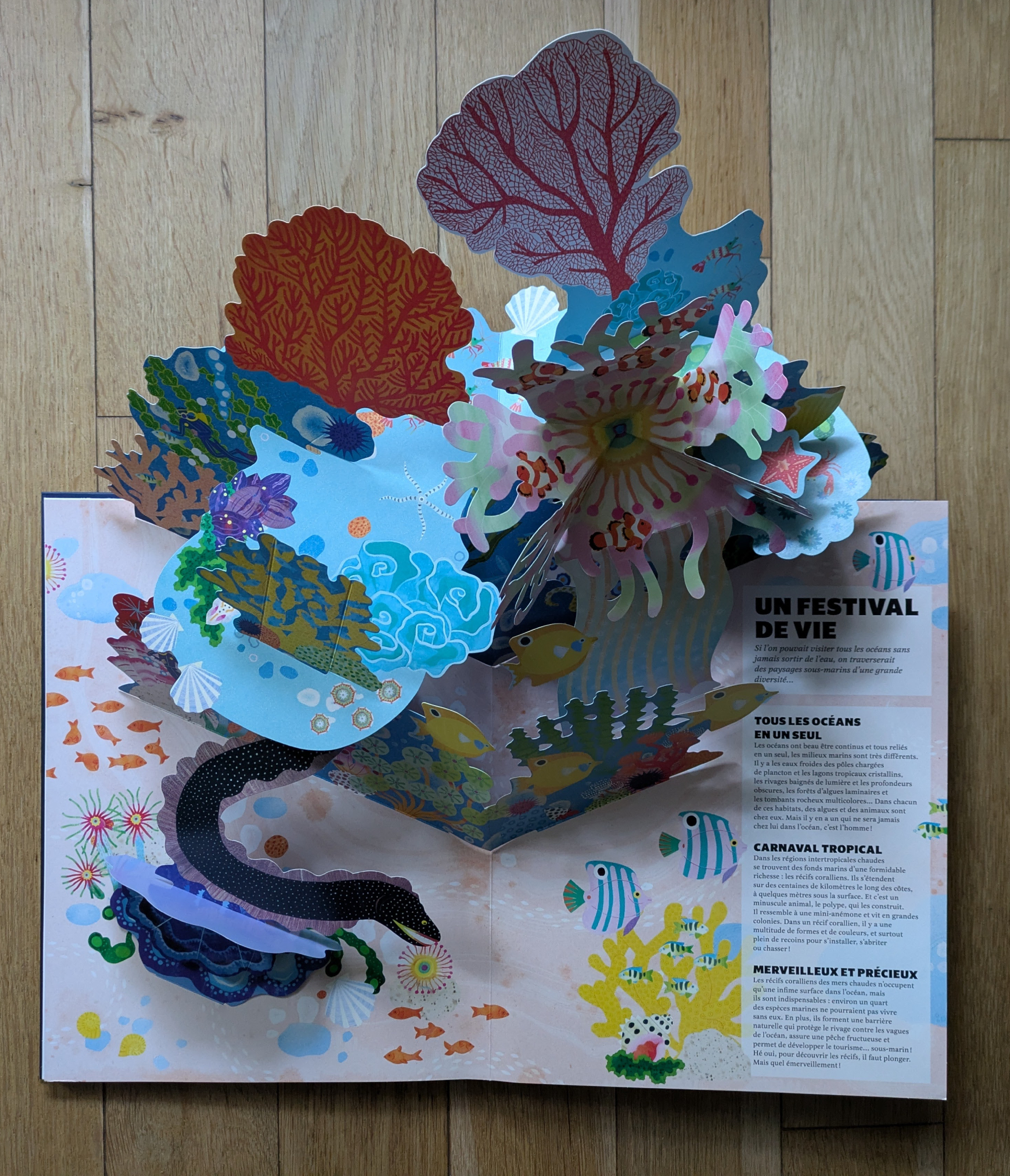 Des illustrations magnifiques