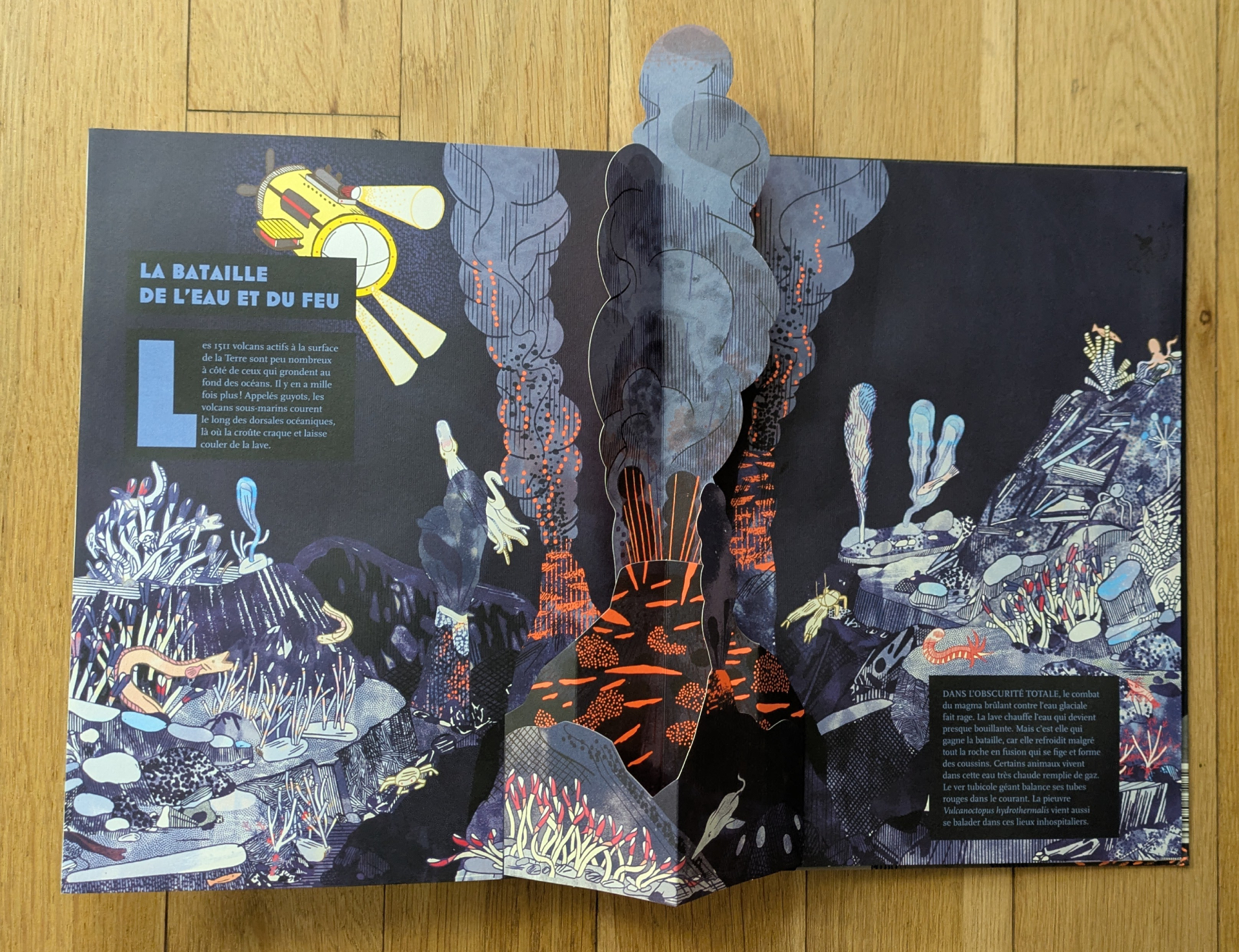 Des illustrations magnifiques