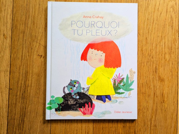 Pourquoi tu pleux ? de Anne Crahay