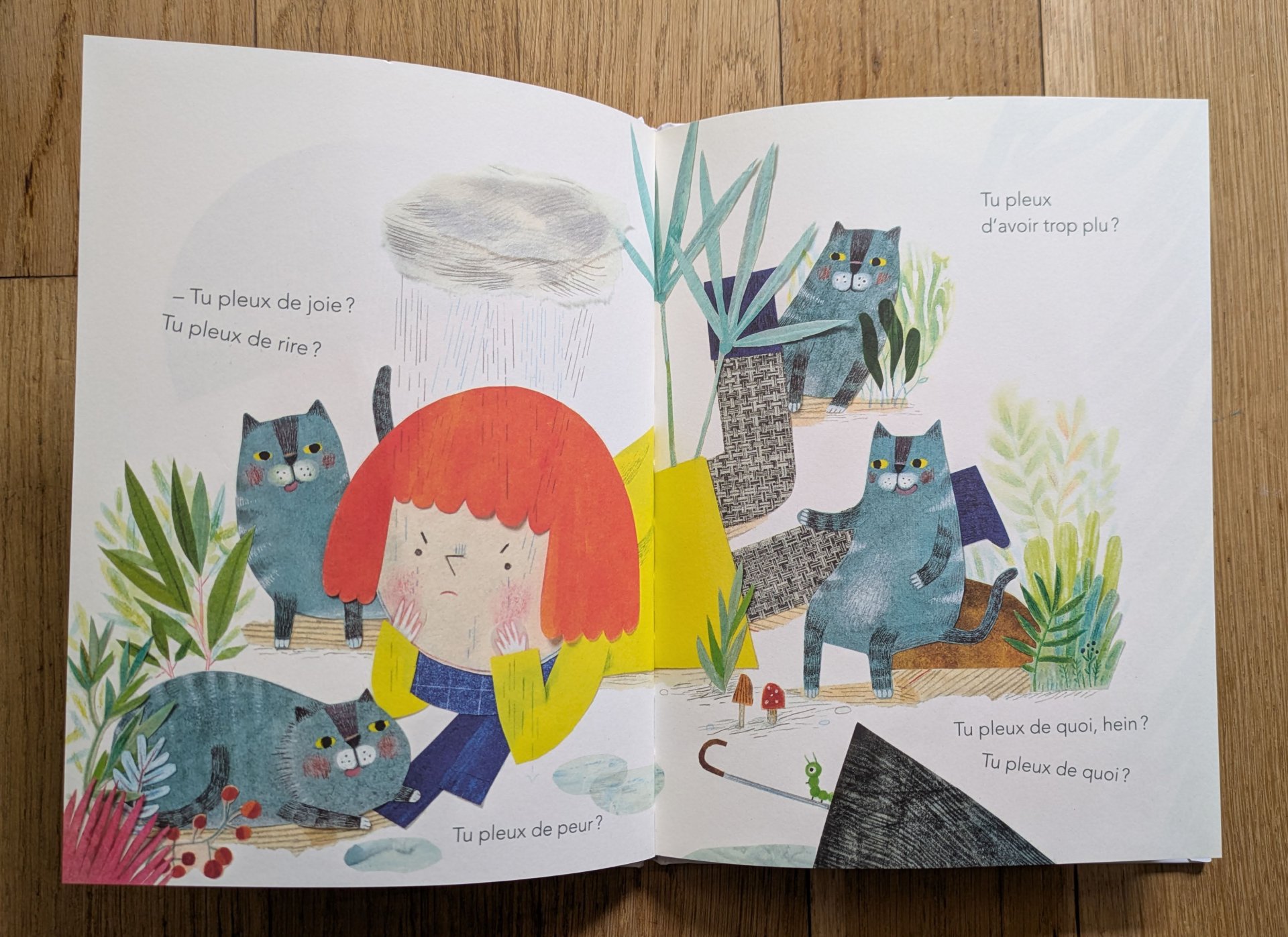 De magnifiques illustrations