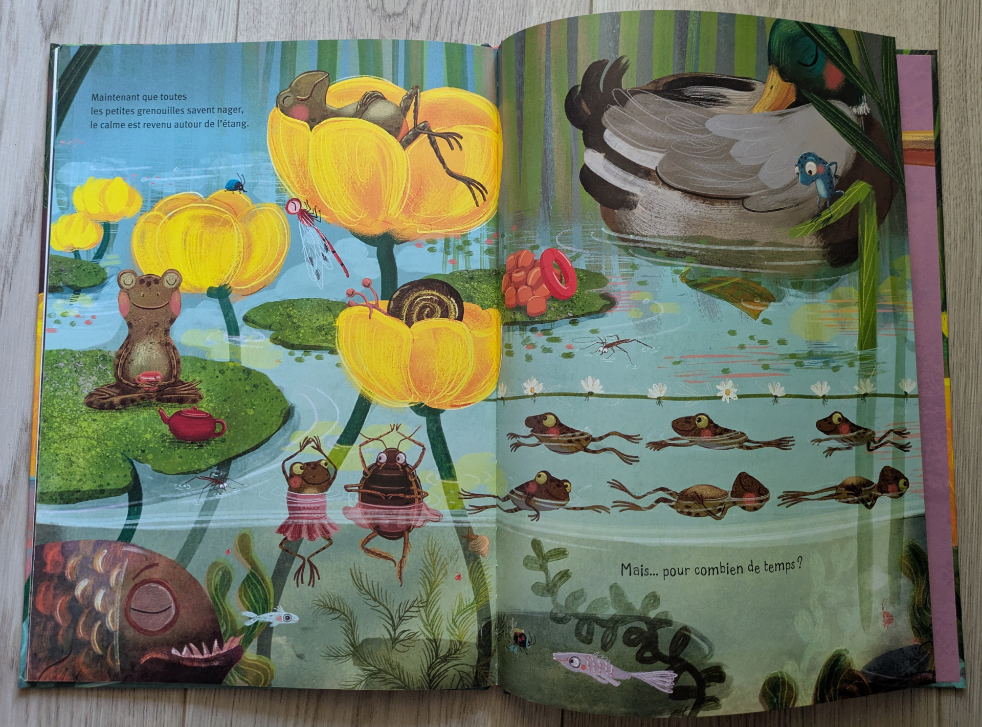 De très belles illustrations