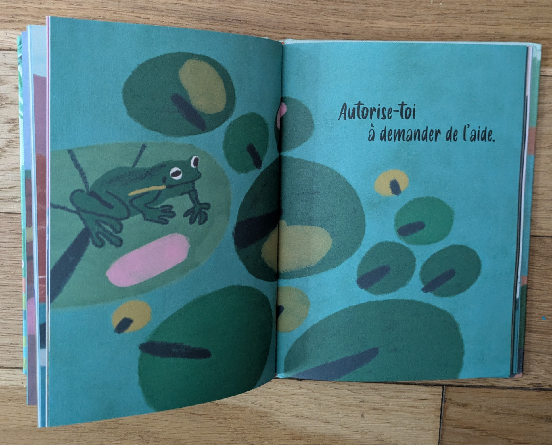 Des illustrations magnifiques