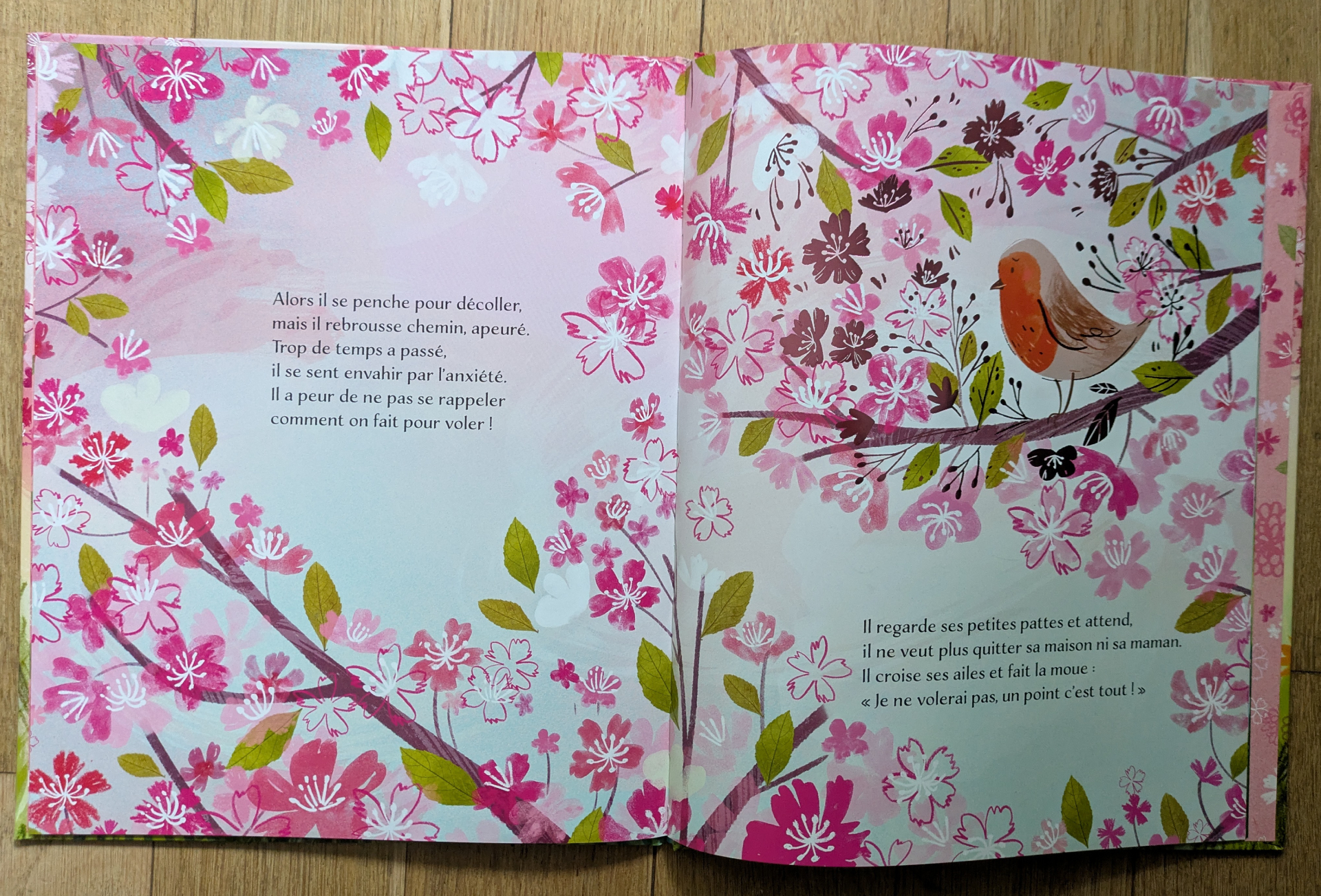 Des illustrations magnifiques