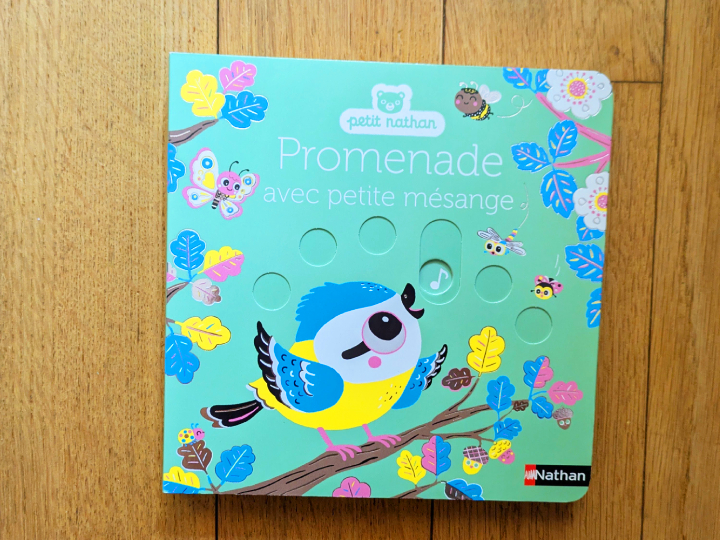 Promenade avec petite mésange