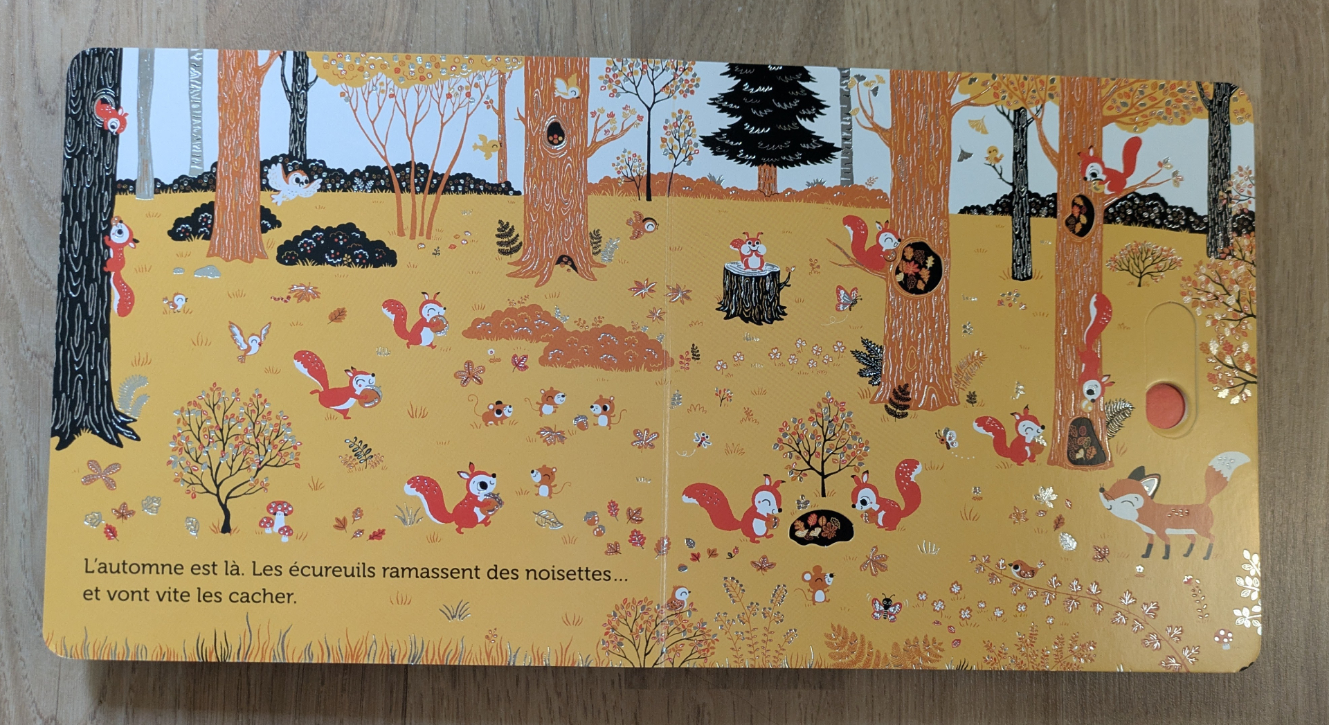 Des illustrations magnifiques et brillantes