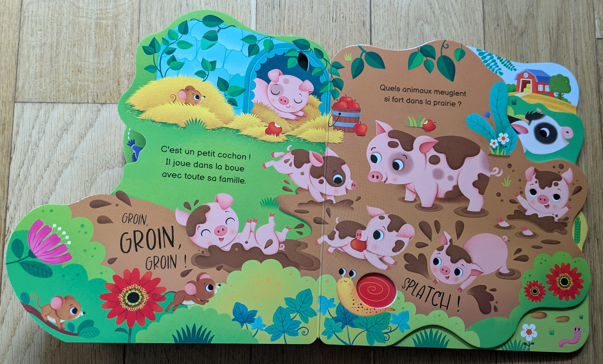 De bellesllustrations