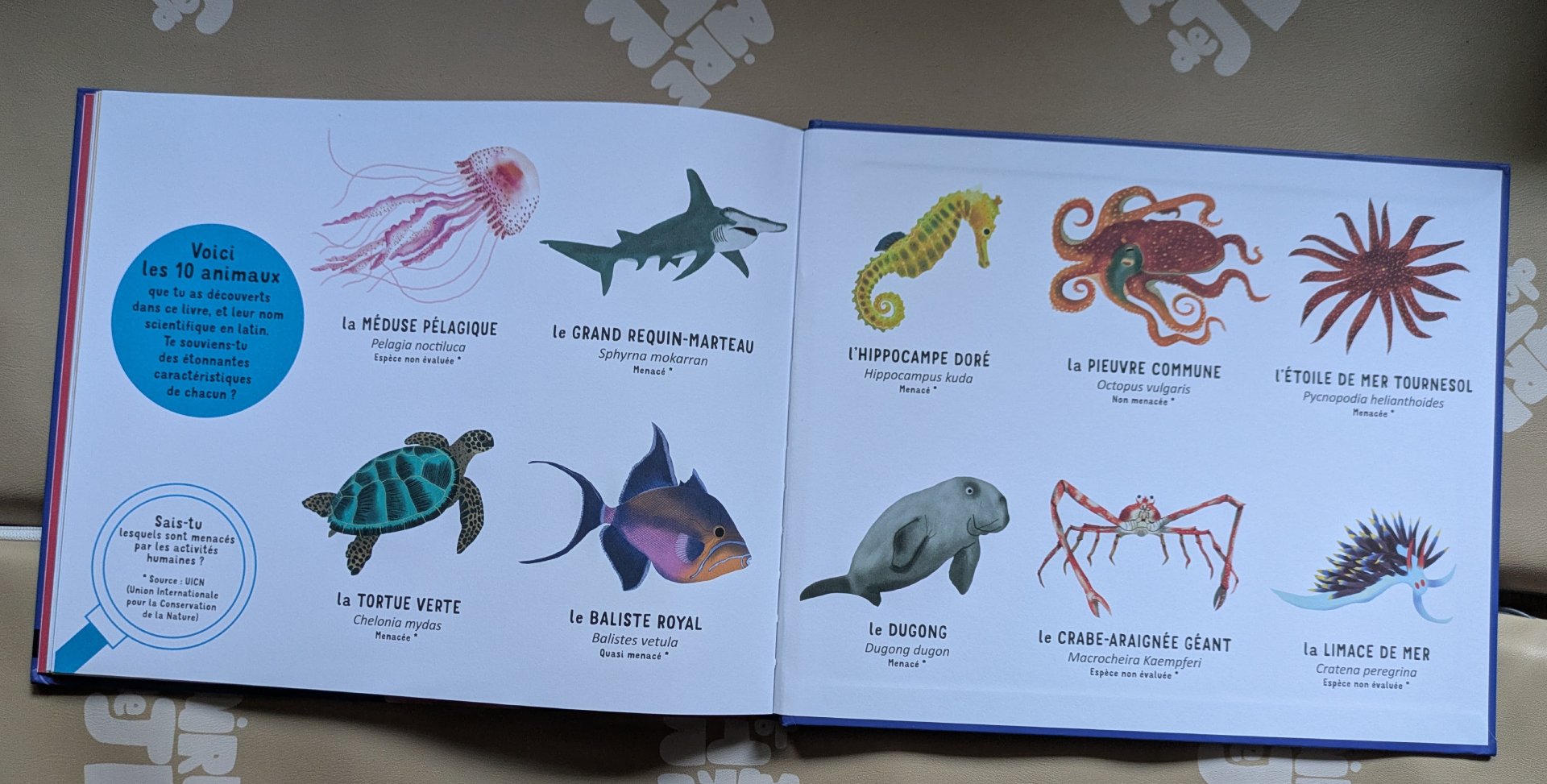 Découvrir ces 10 animaux de la mer
