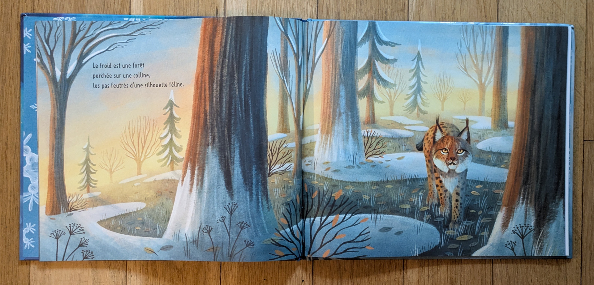 Des illustrations magnifiques